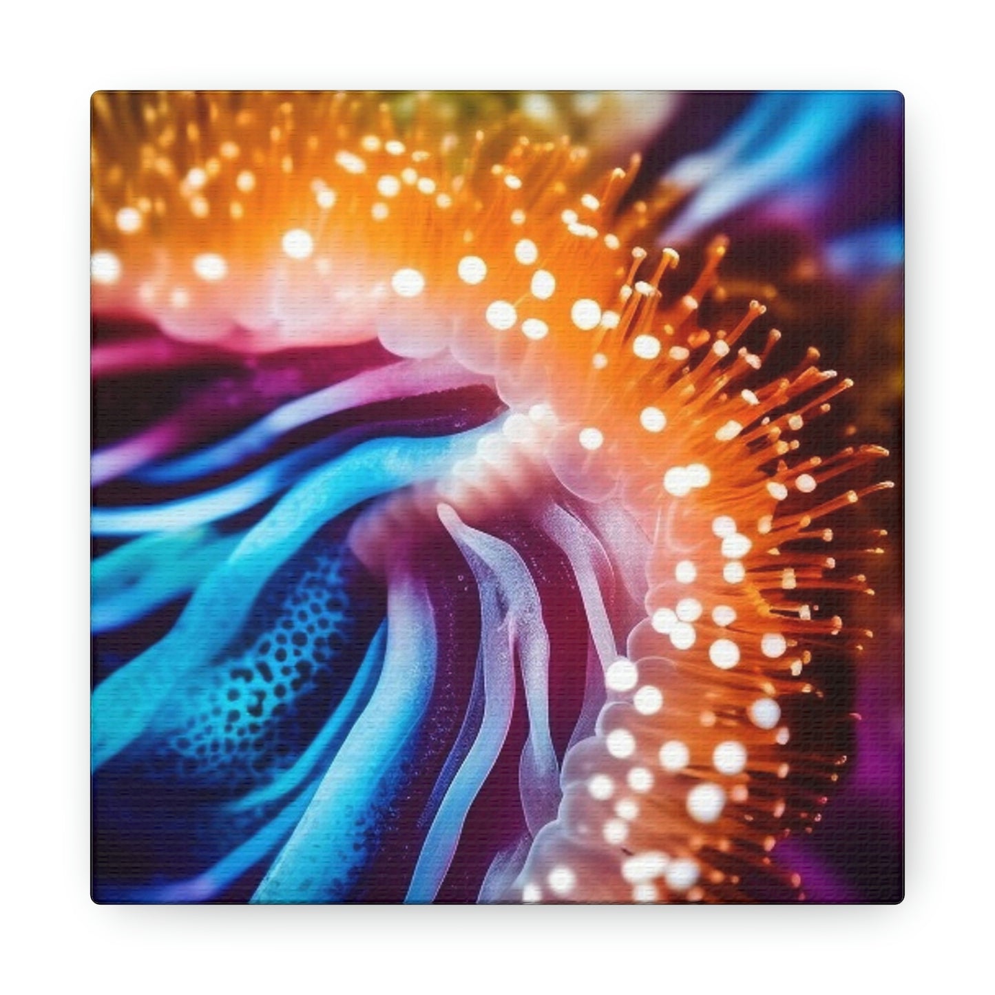 Canvas Gallery Wraps Ocean Anemone 1.4