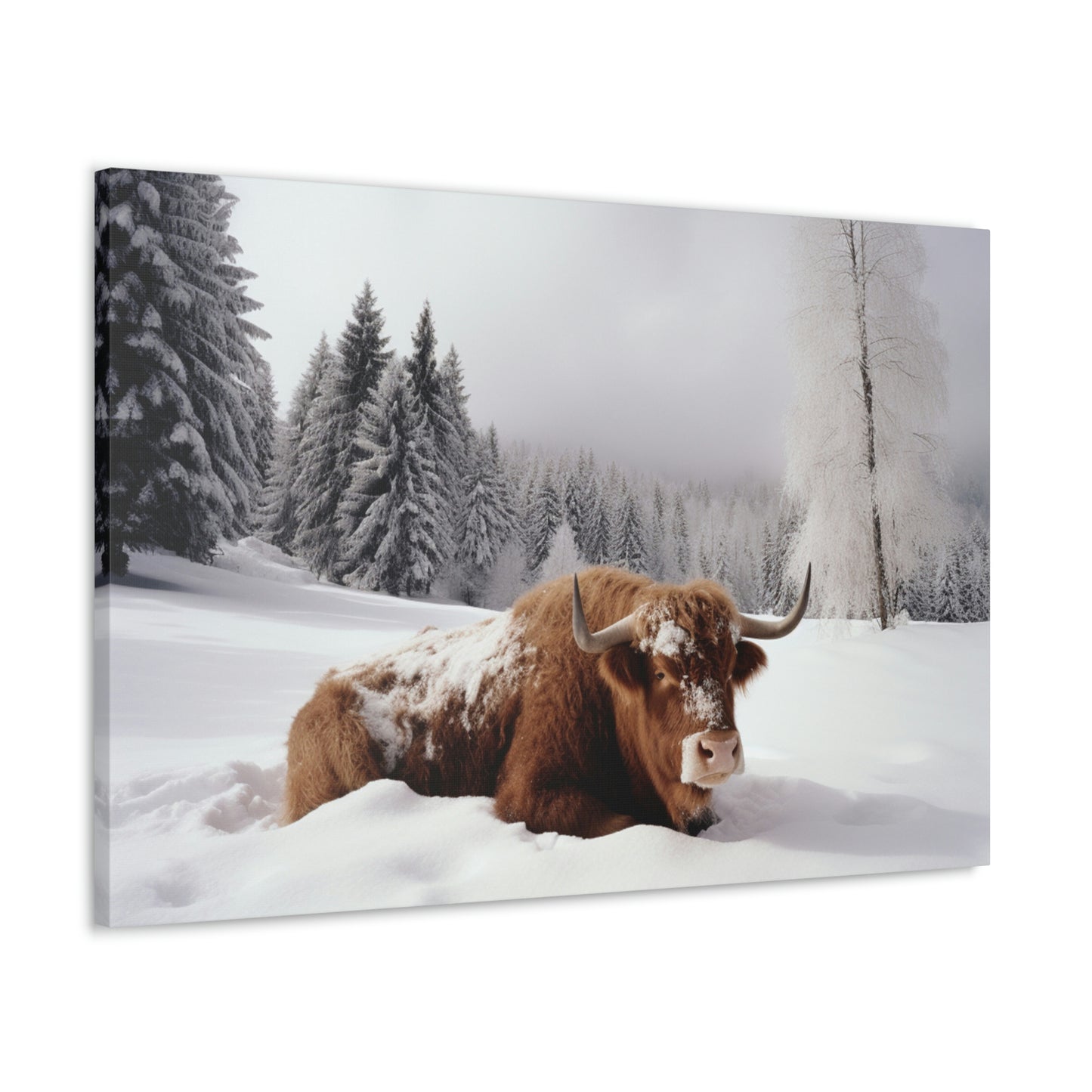 Canvas Gallery Wraps Cow Snow 2