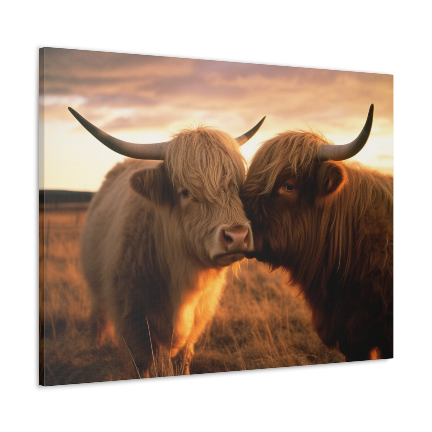 Canvas Gallery Wraps Cow Love 1