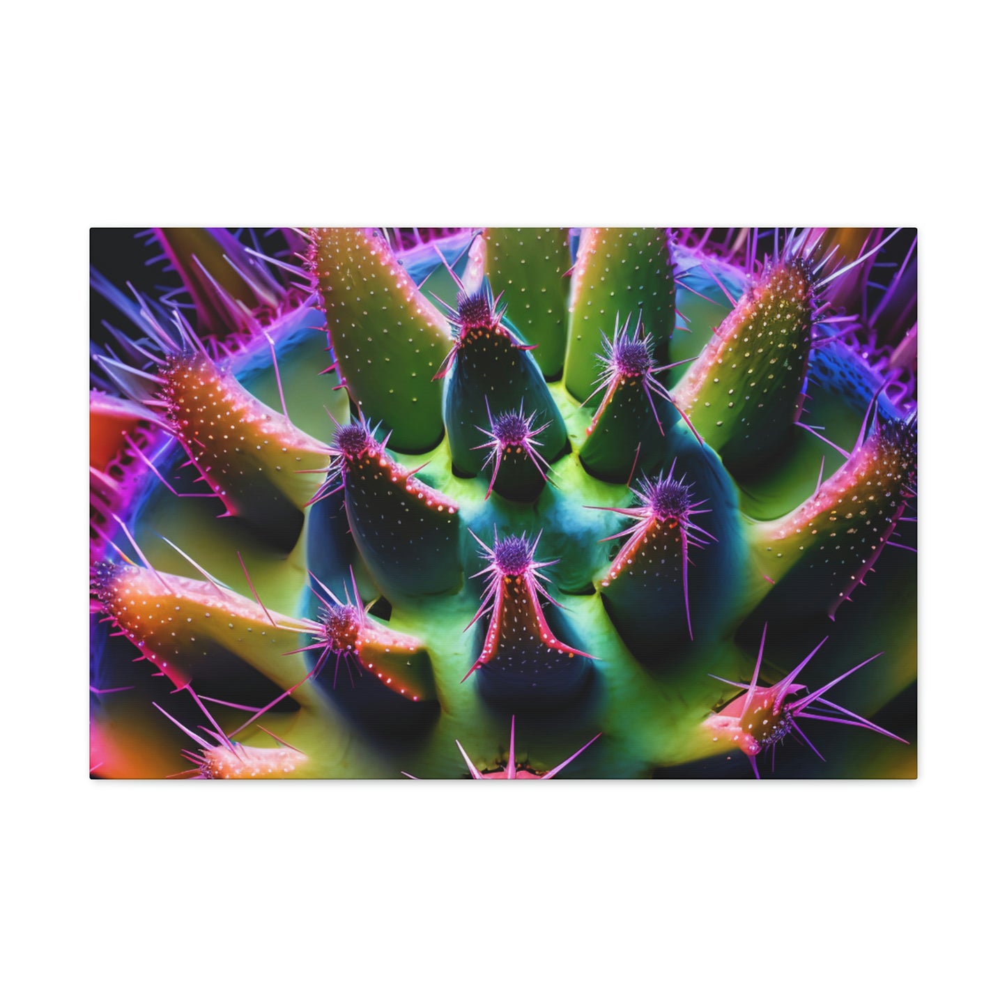 Macro Cactus 5