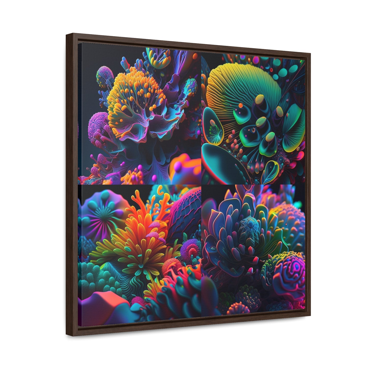 Gallery Canvas Wraps, Square Frame Ocean Life Macro 5