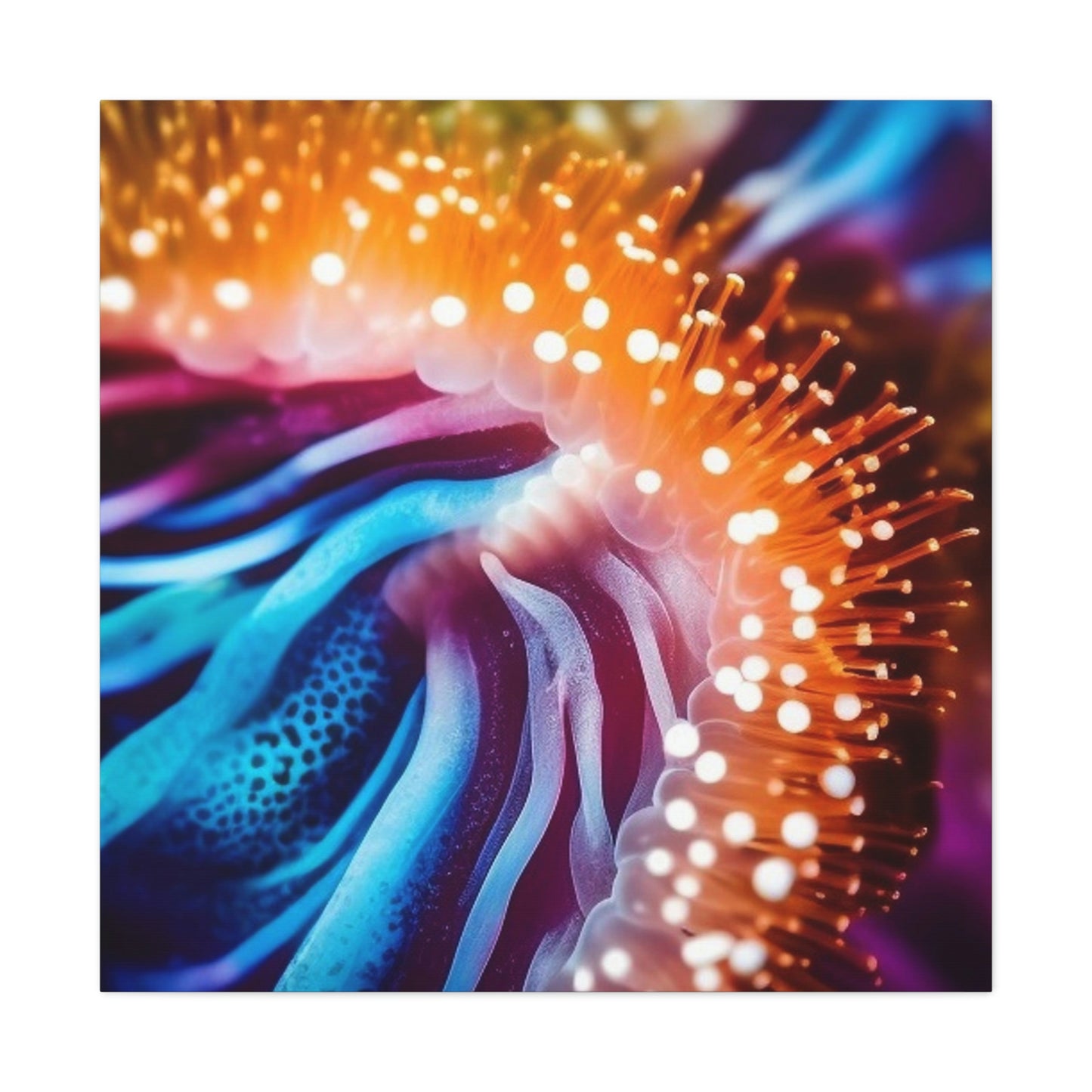 Canvas Gallery Wraps Ocean Anemone 1.4