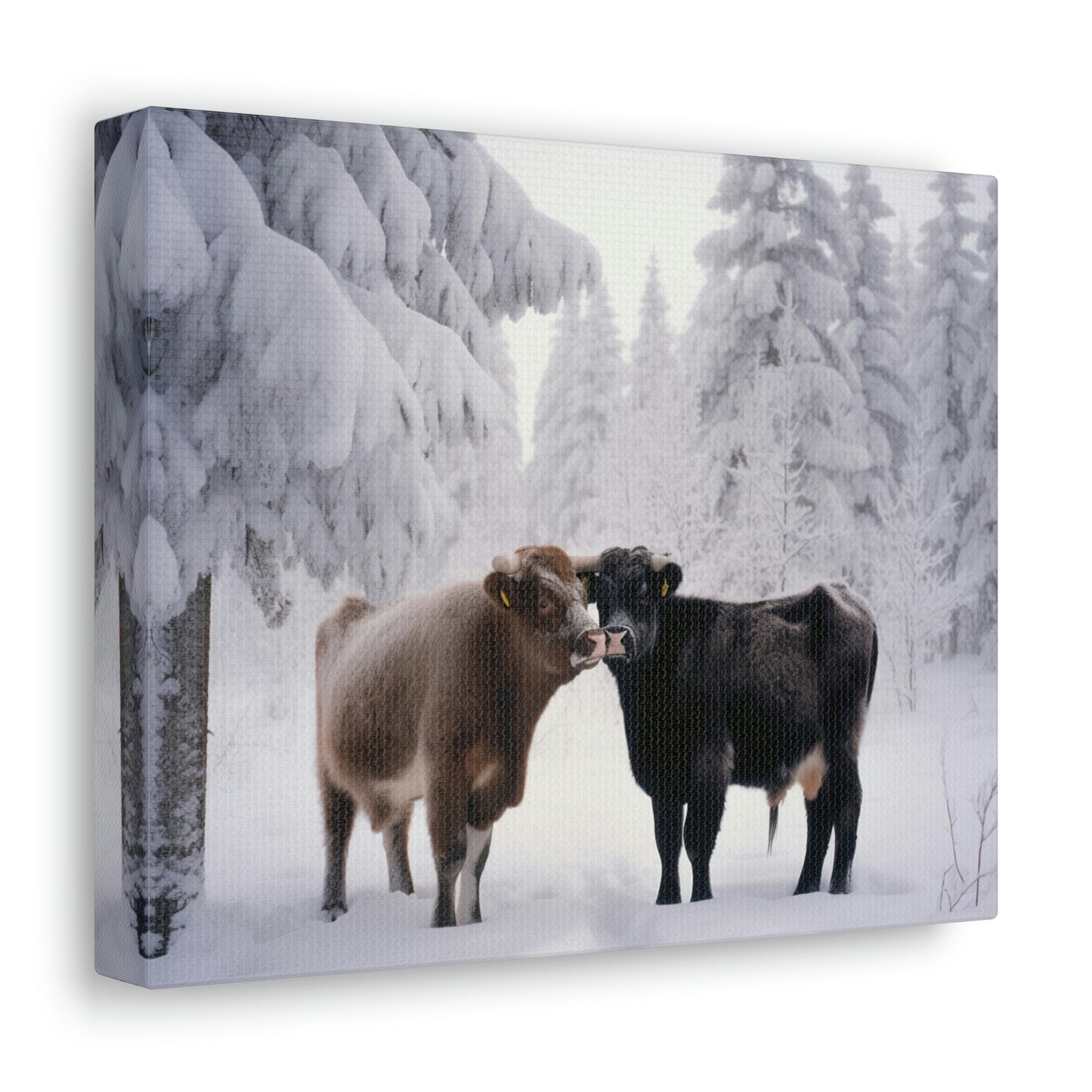 Canvas Gallery Wraps Long Haired Cow snow 3