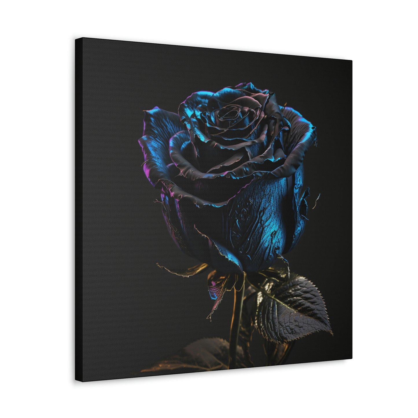 Black Blue Rose 1