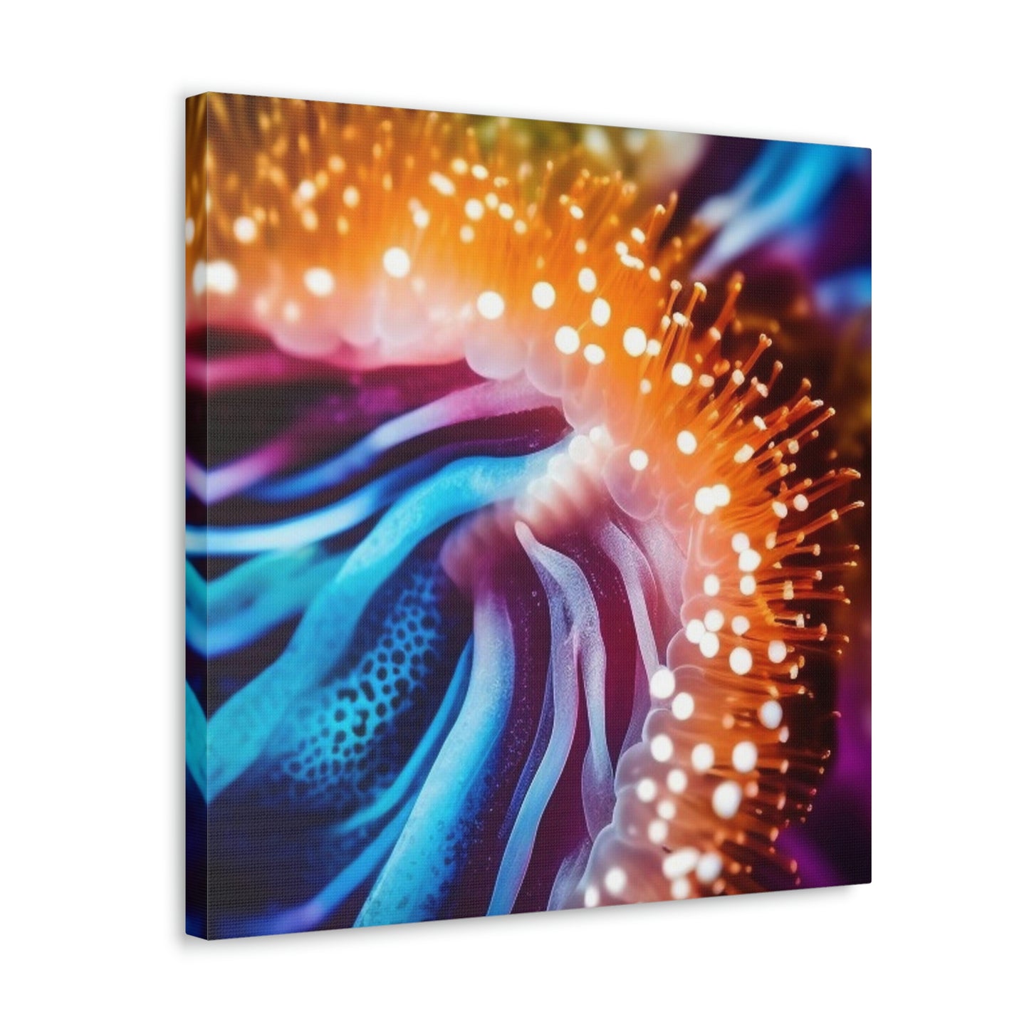 Canvas Gallery Wraps Ocean Anemone 1.4