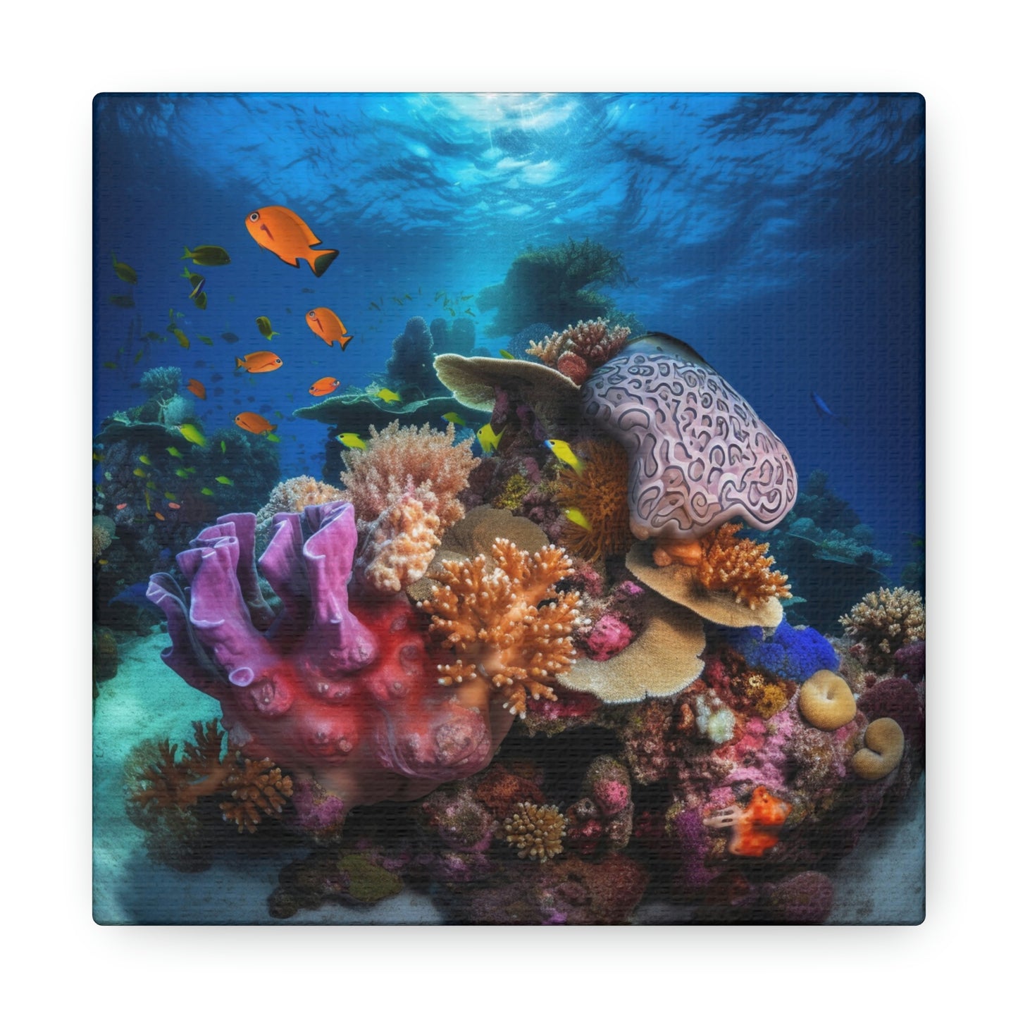 Coral Reef 2