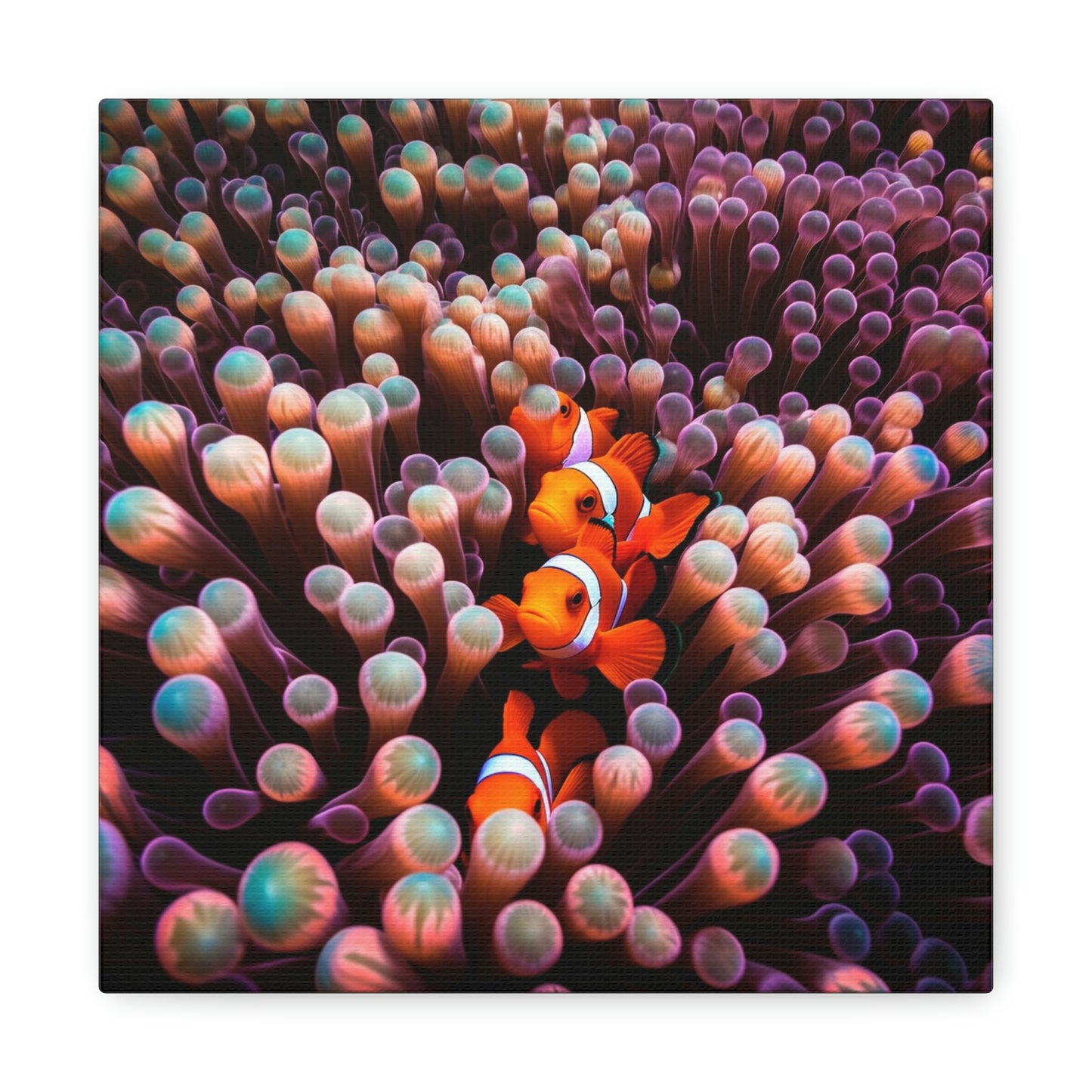 Canvas Gallery Wraps Clown Fish 3