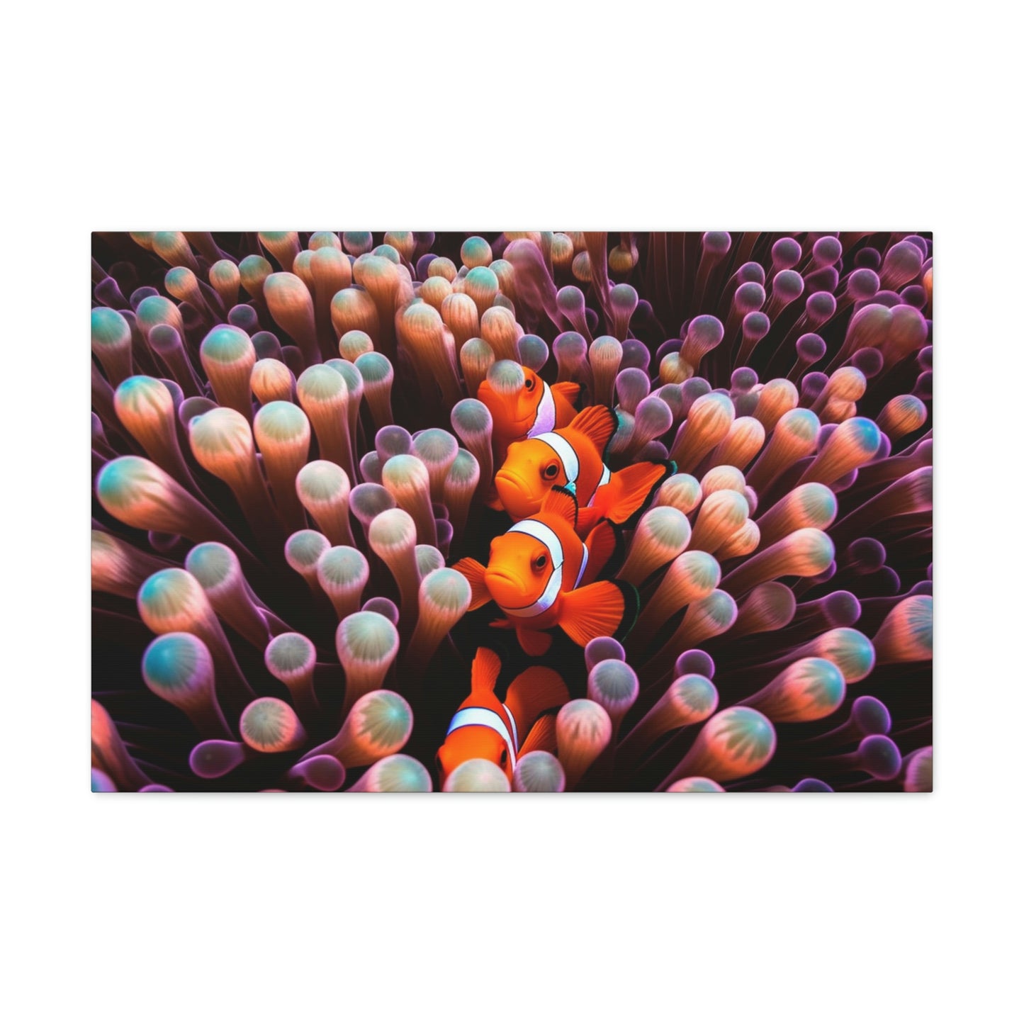 Canvas Gallery Wraps Clown Fish 3