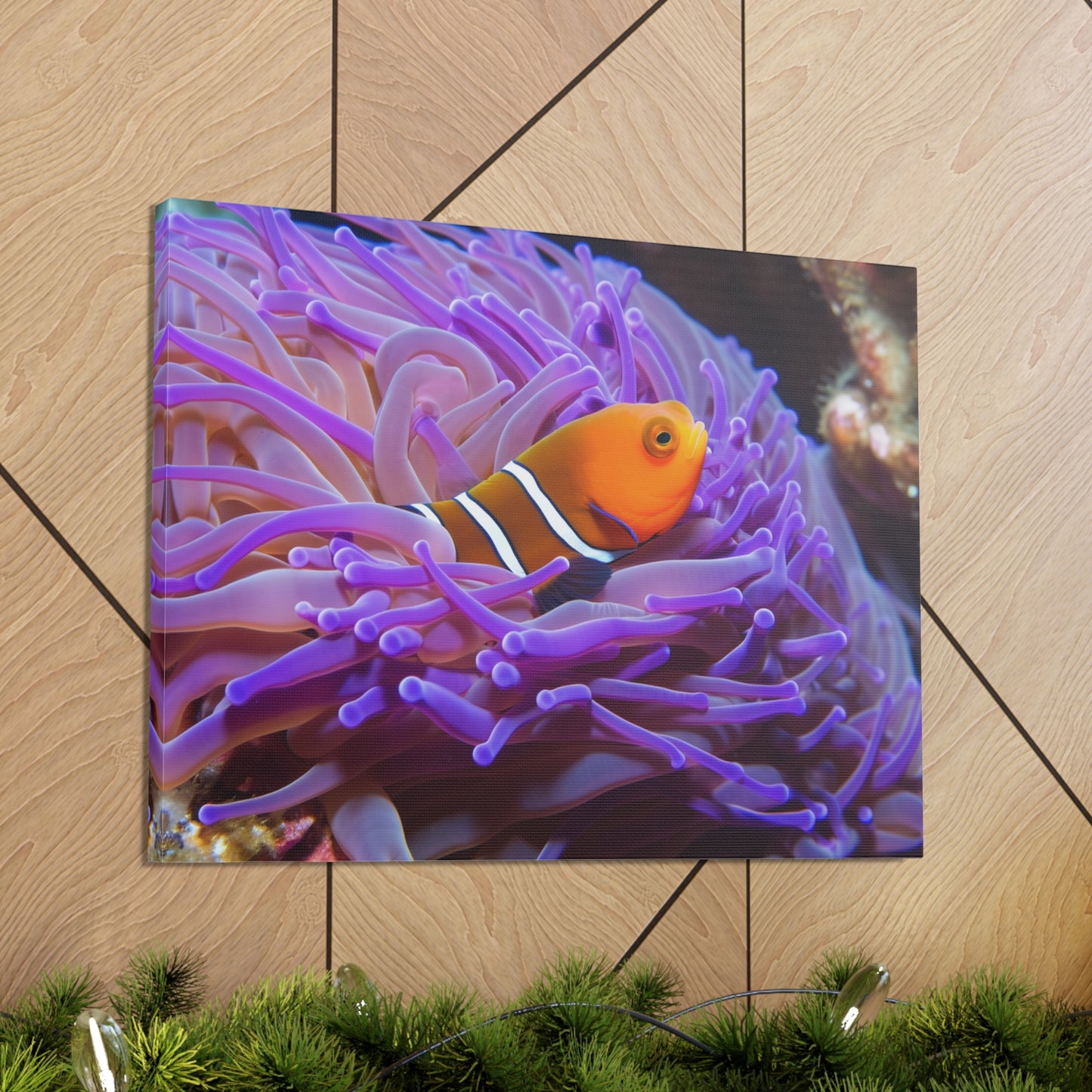 Canvas Gallery Wraps Anemone Clown 3