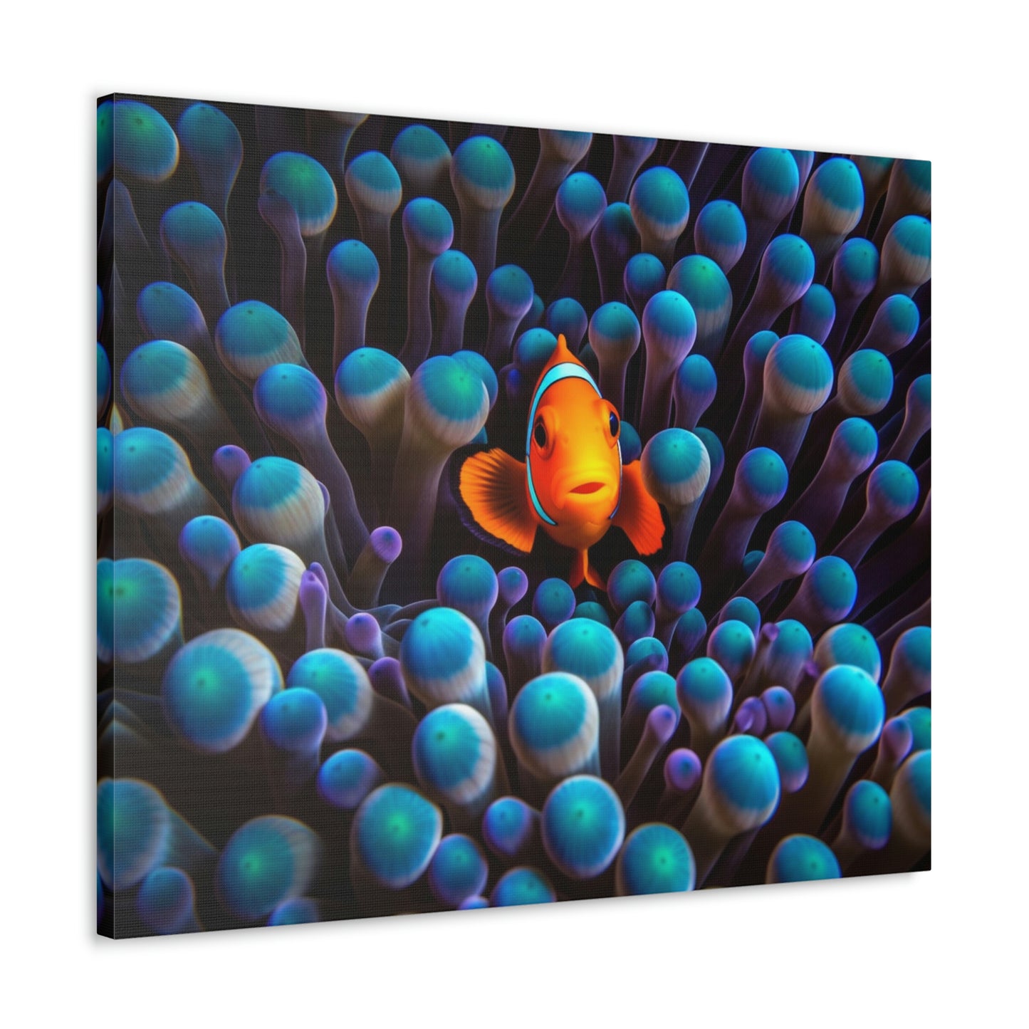 Canvas Gallery Wraps Clown Fish 1