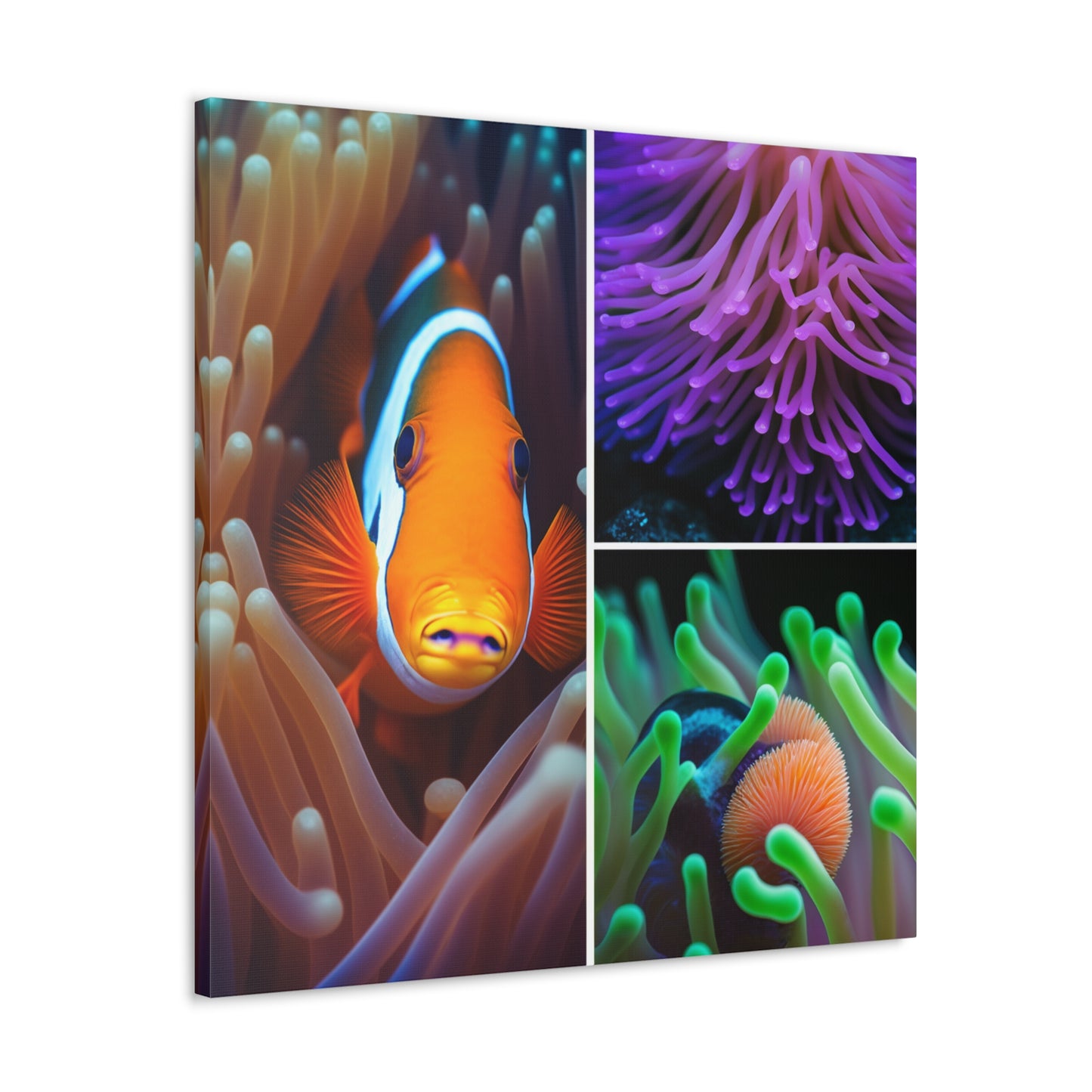 Canvas Gallery Wraps Clownfish Anemone 1