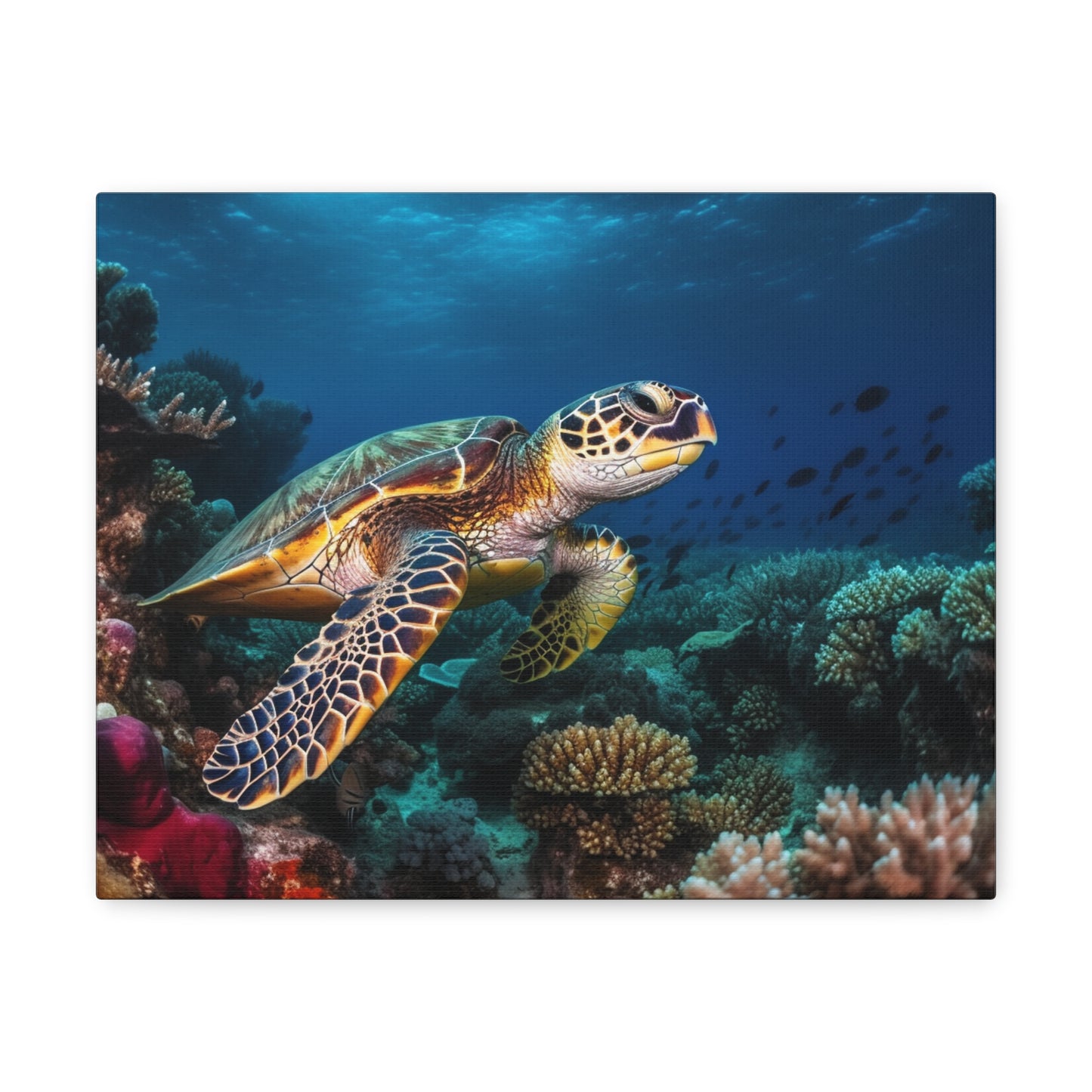 Sea Turtle Reef 1