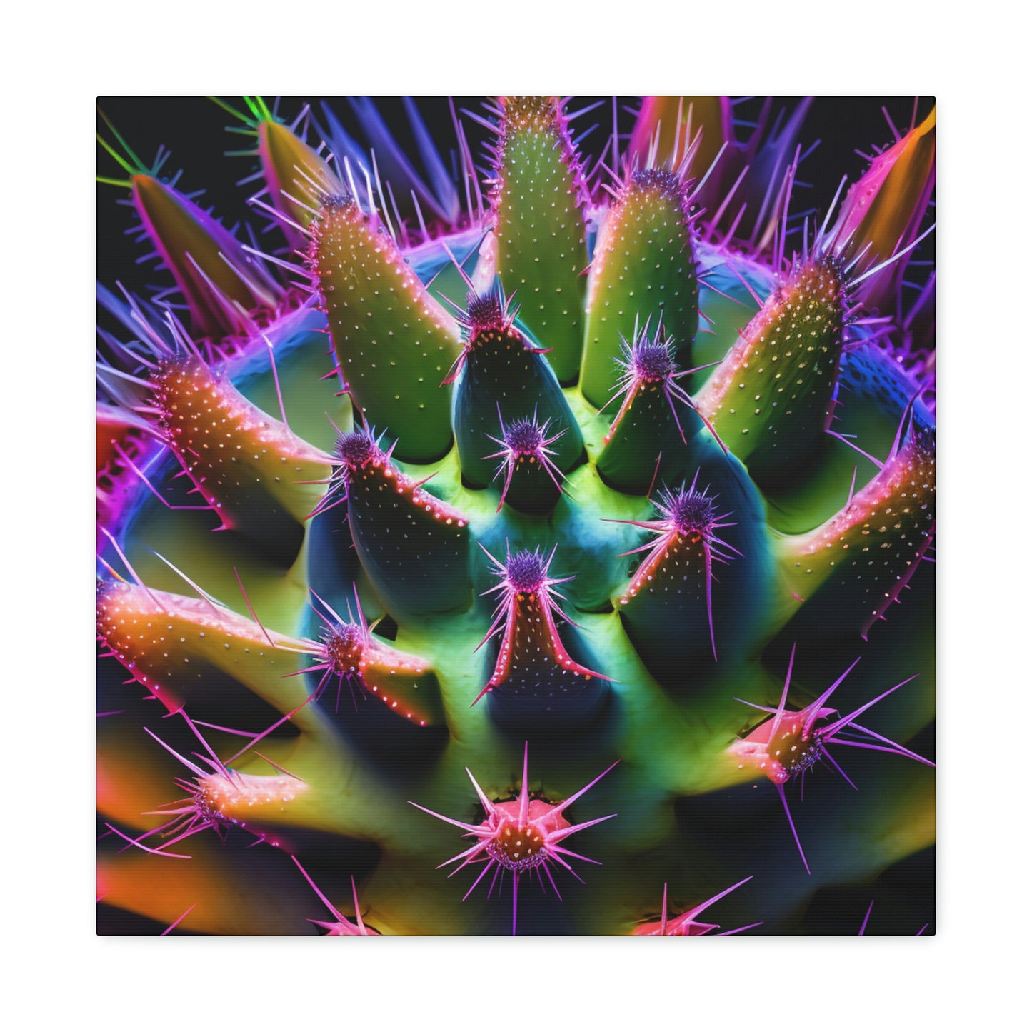 Macro Cactus 5