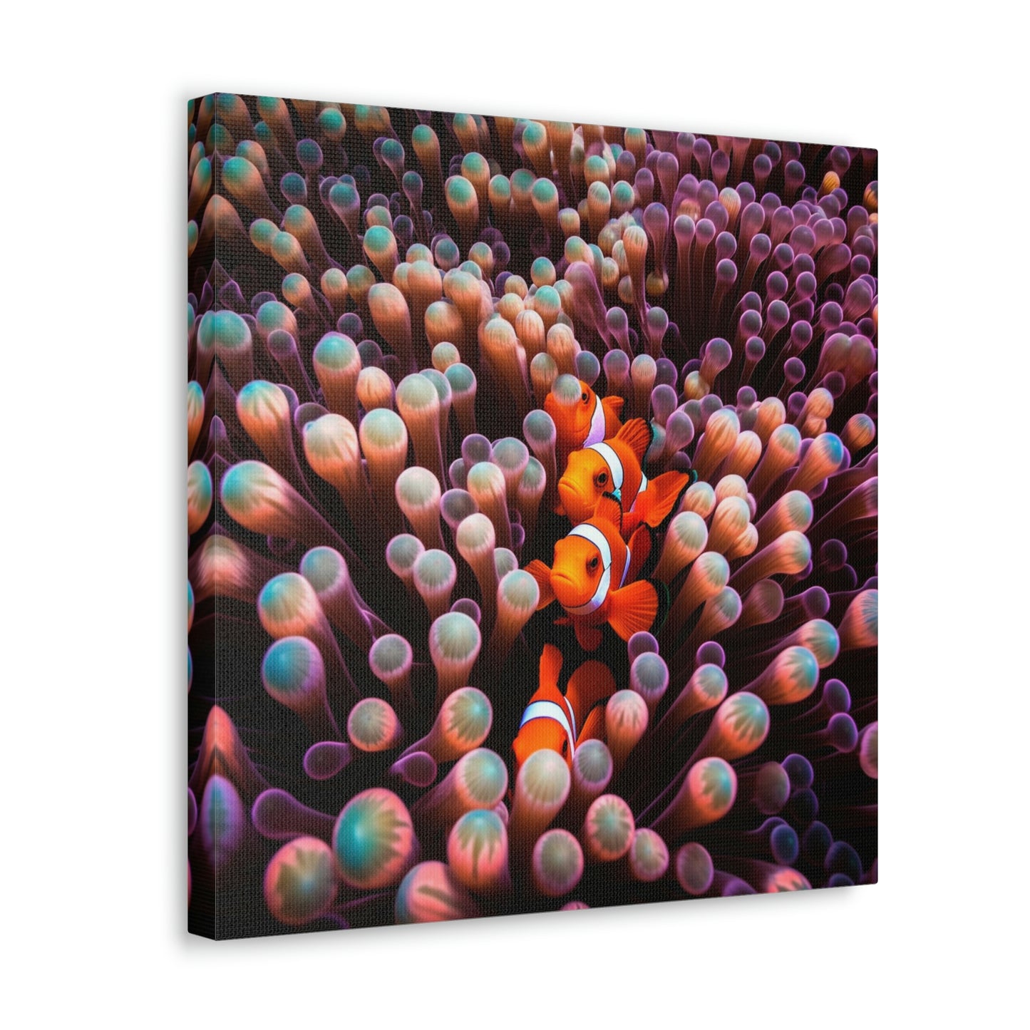 Canvas Gallery Wraps Clown Fish 3