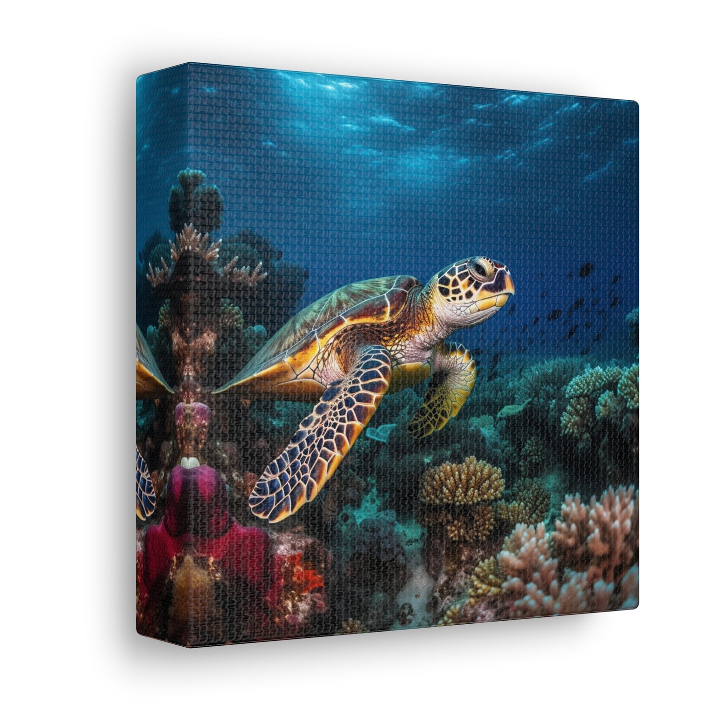 Sea Turtle Reef 1