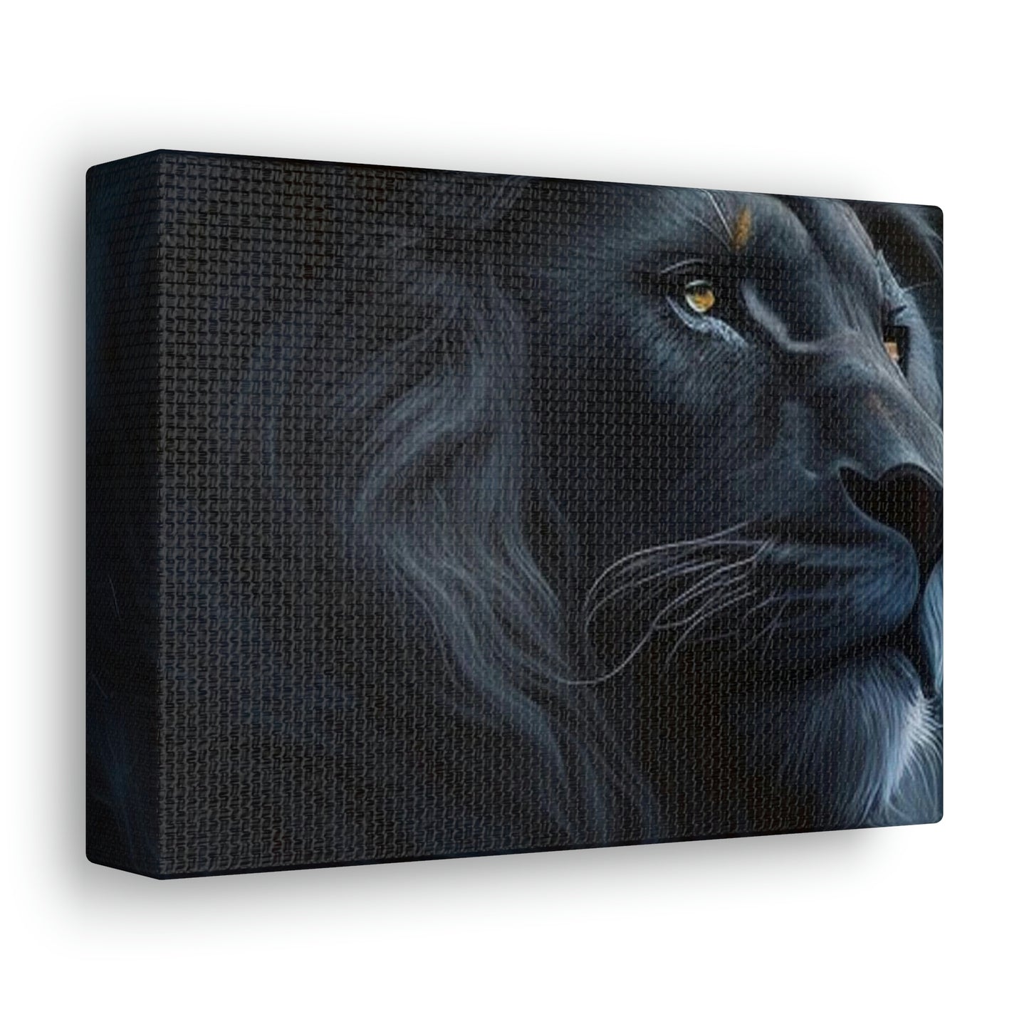 Lion Black 4