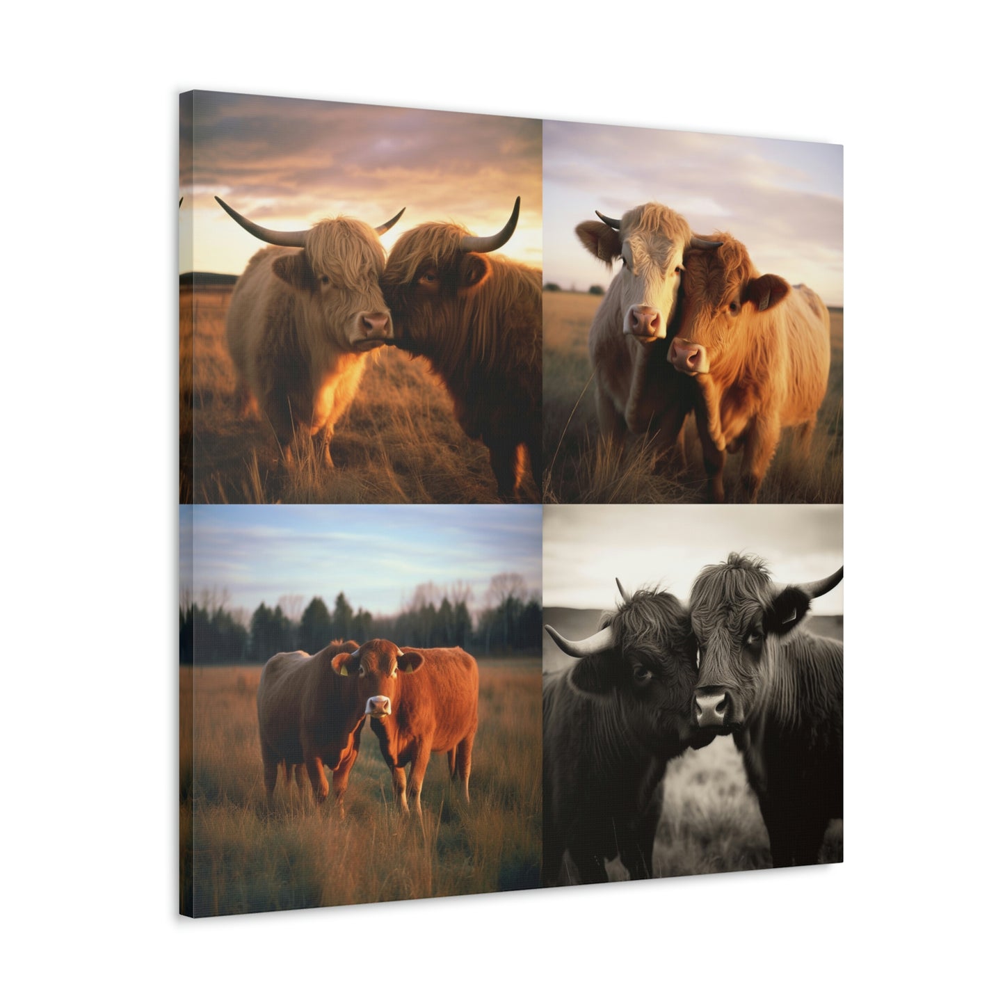 Canvas Gallery Wraps Cow Love 4 Pack