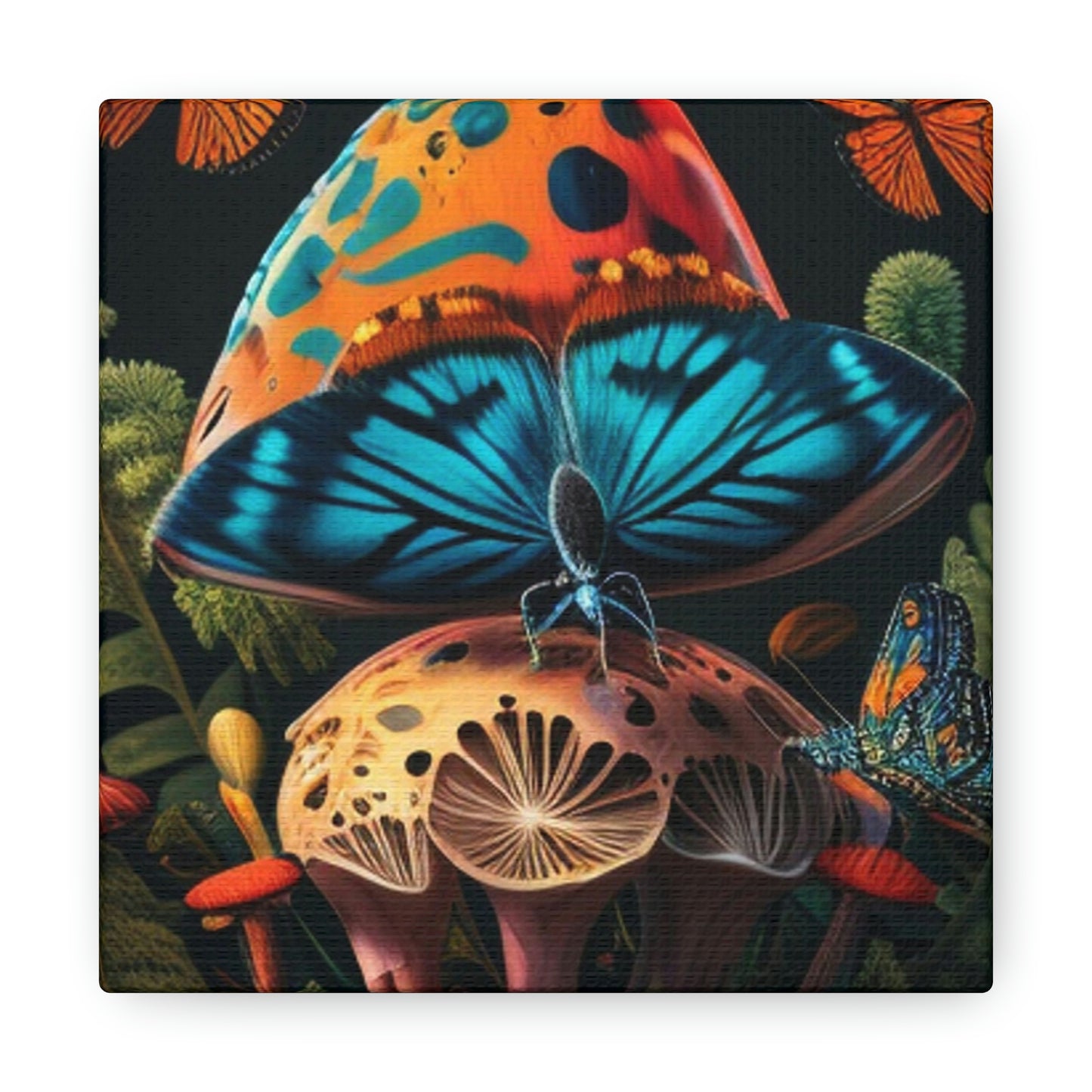 Butterfly mushroom 4