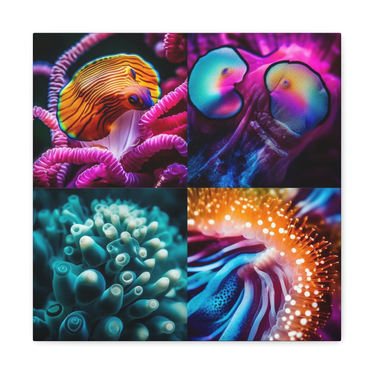 Canvas Gallery Wraps Ocean Anemone 1