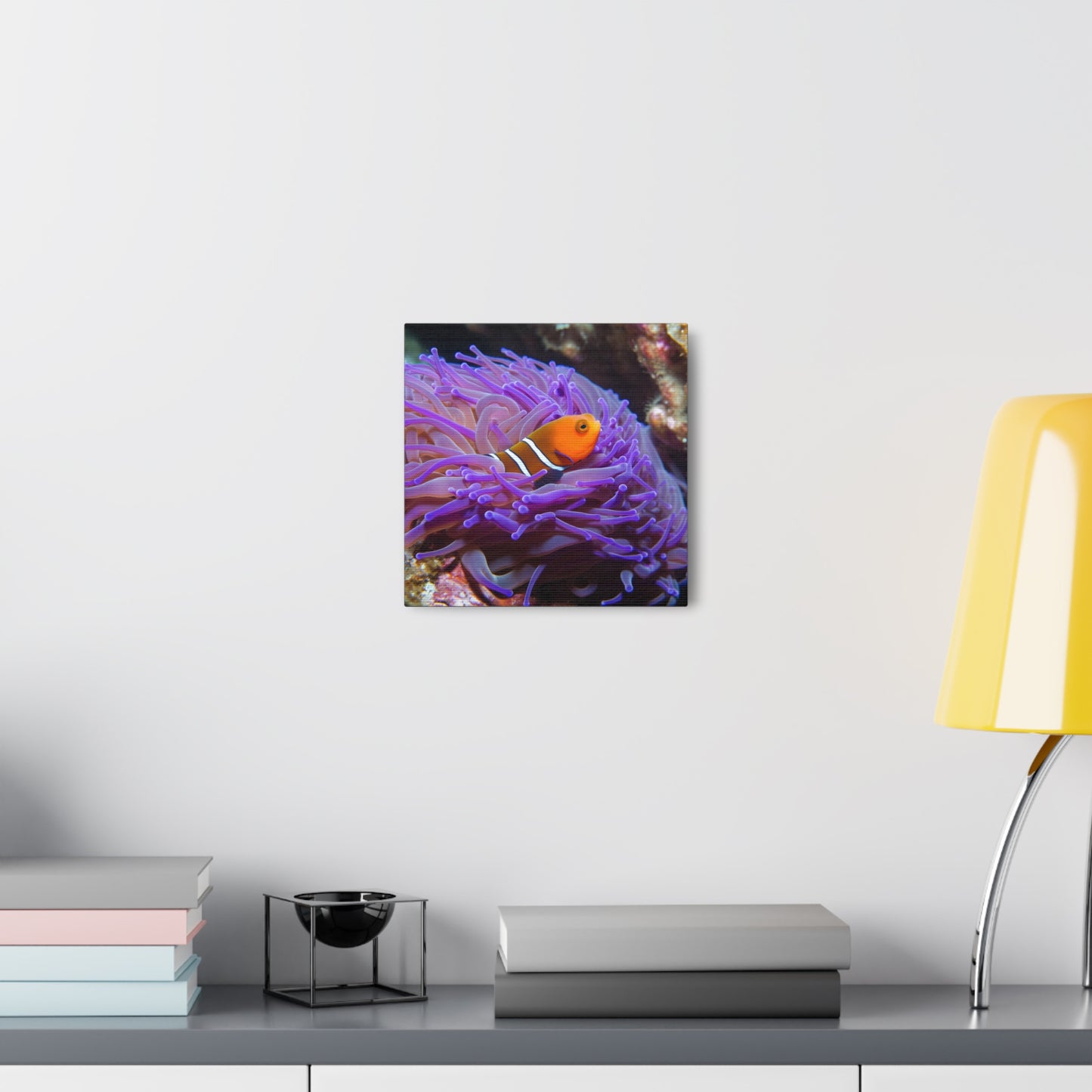 Canvas Gallery Wraps Anemone Clown 3