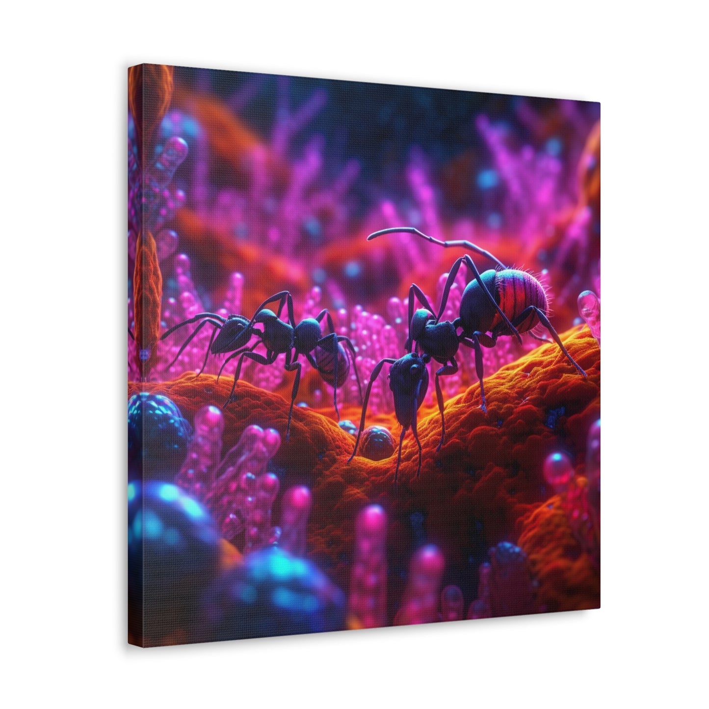 Canvas Gallery Wraps Ants Home 4