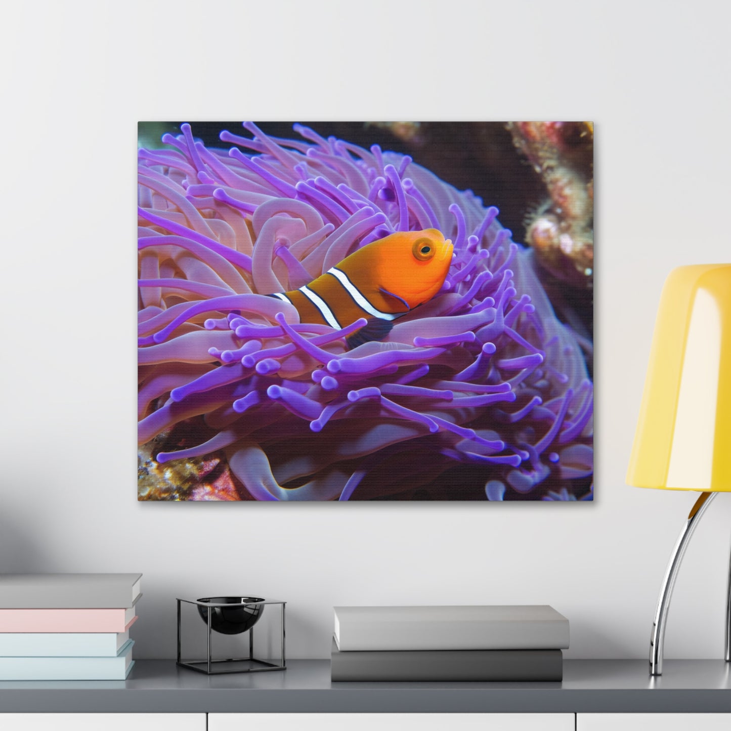 Canvas Gallery Wraps Anemone Clown 3