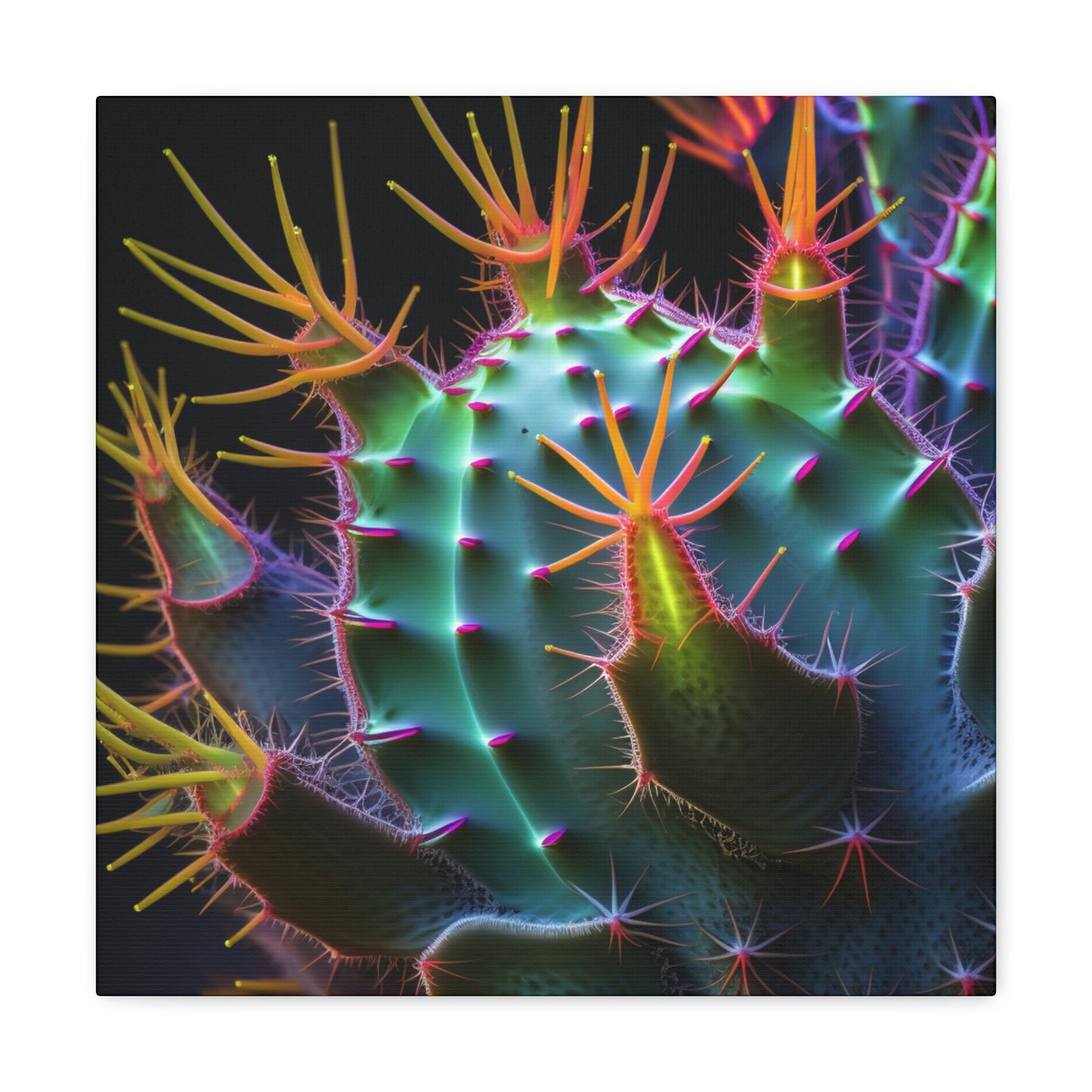 Macro Cactus 6