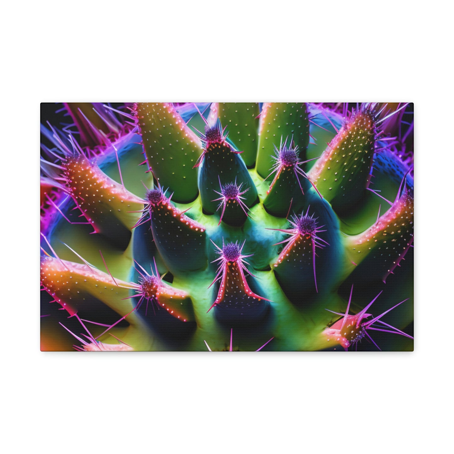 Macro Cactus 5