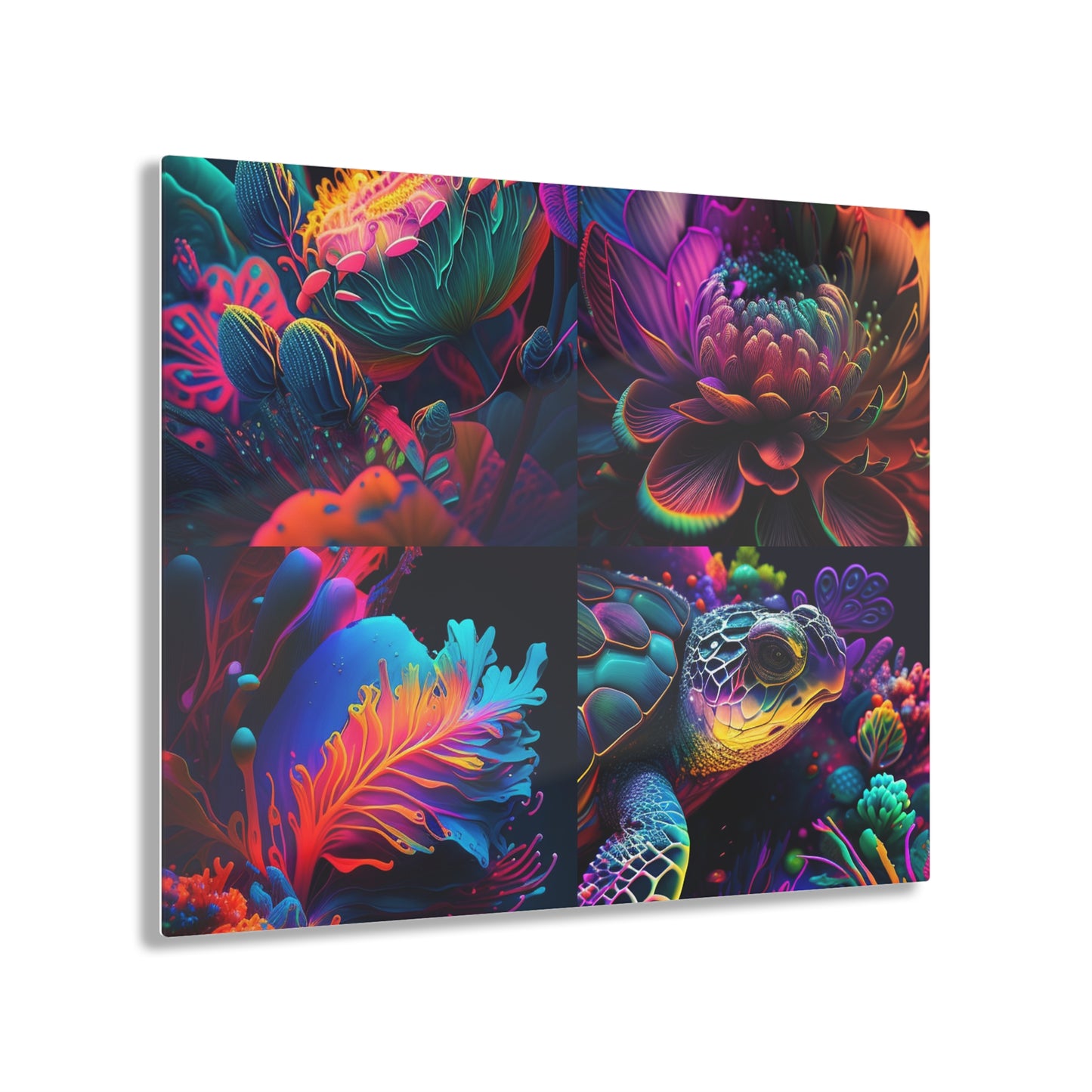 Acrylic Prints Macro Sea Life