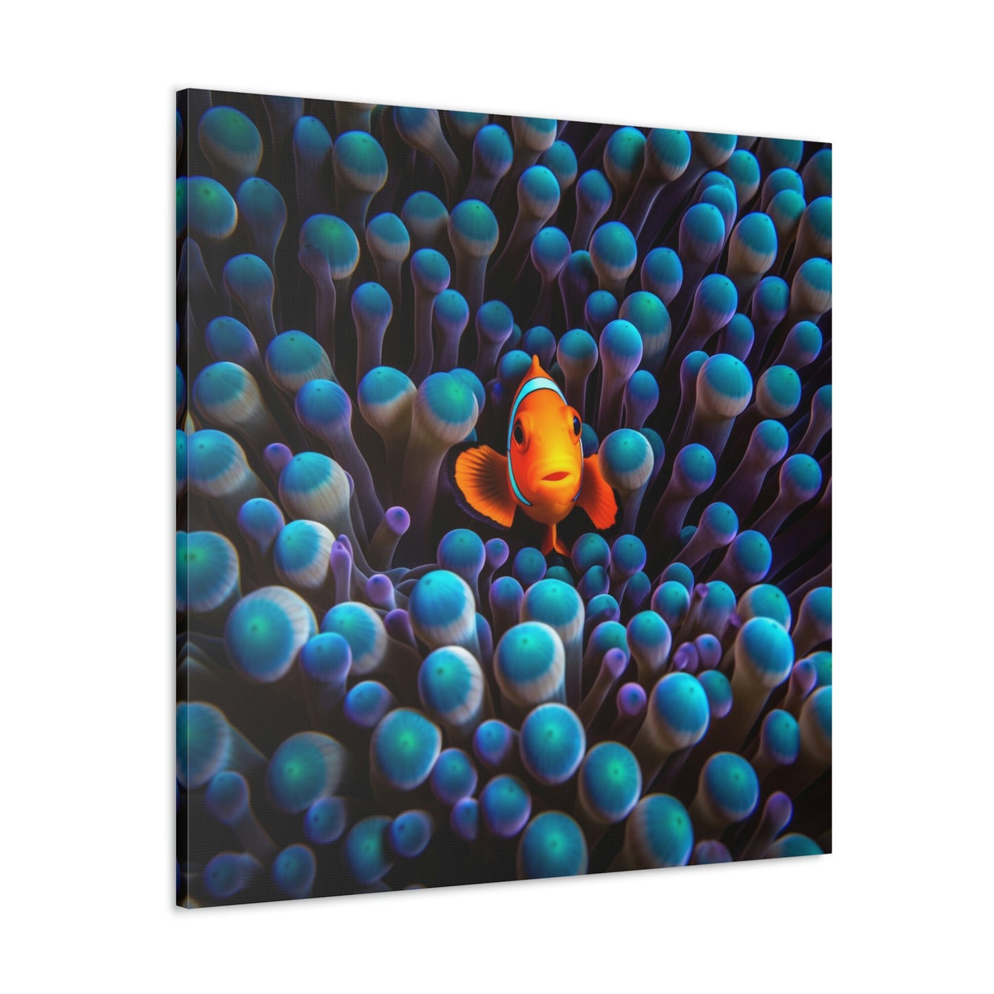 Canvas Gallery Wraps Clown Fish 1