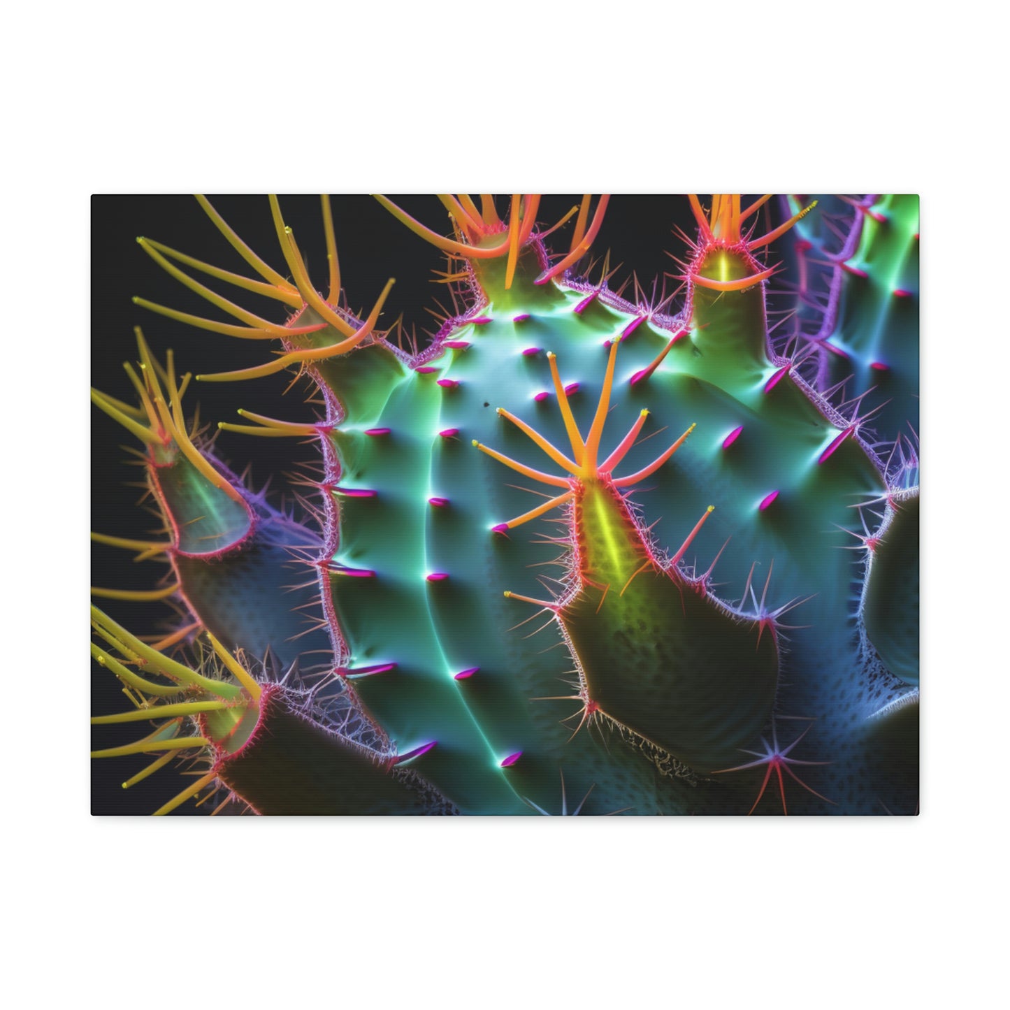 Macro Cactus 6