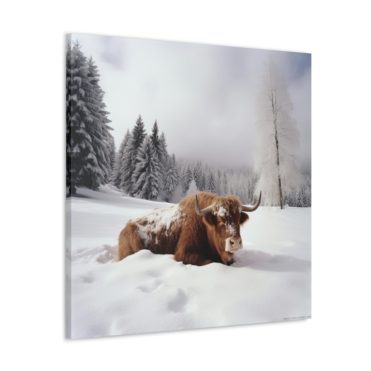 Canvas Gallery Wraps Cow Snow 2