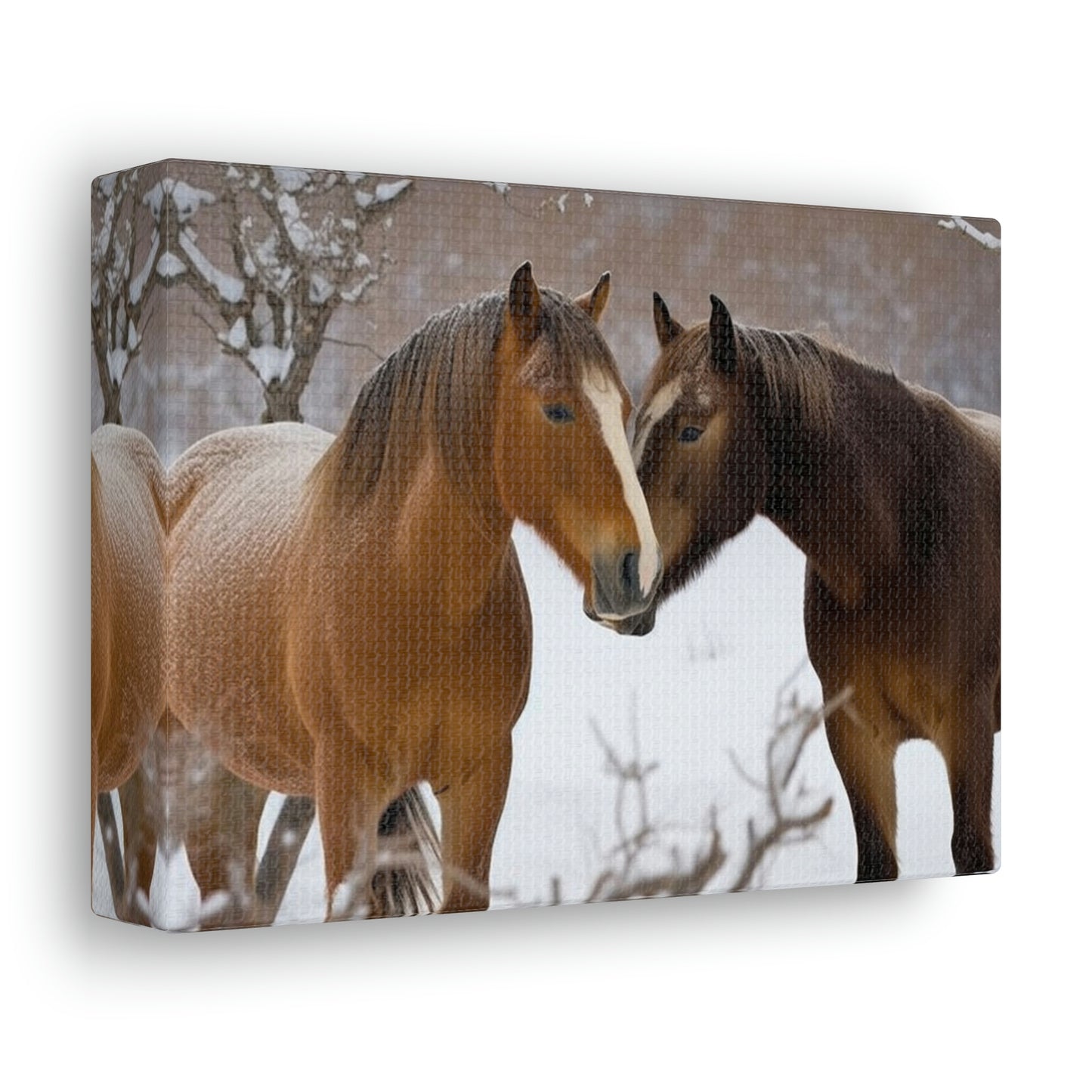 Canvas Gallery Wraps Horse Kiss 3