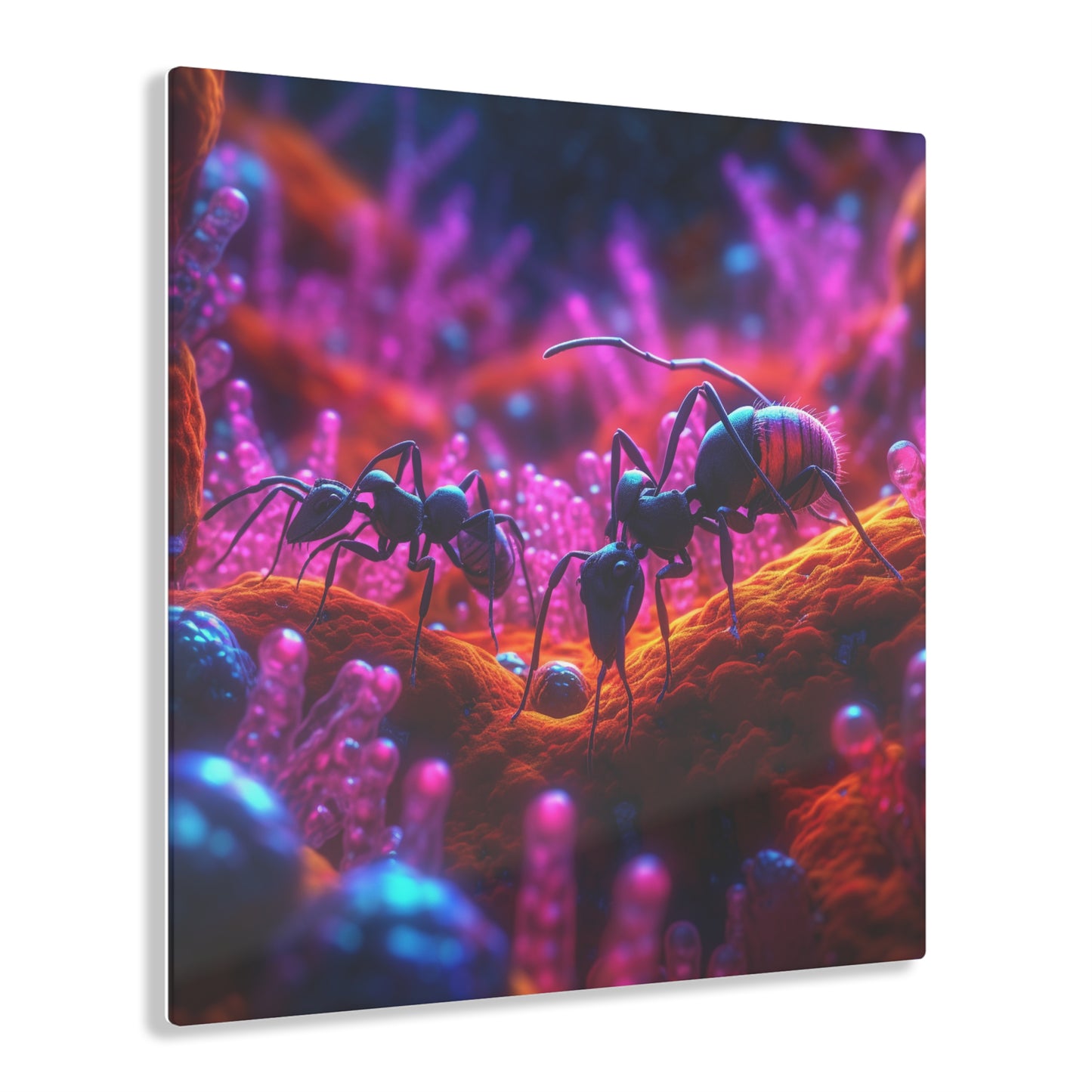 Acrylic Prints Ants Home 4