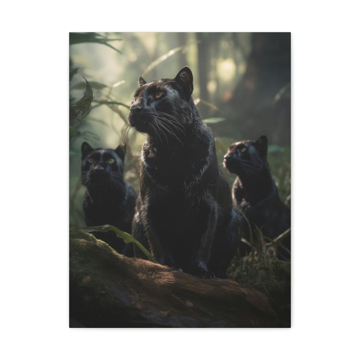 Black Panther kittens