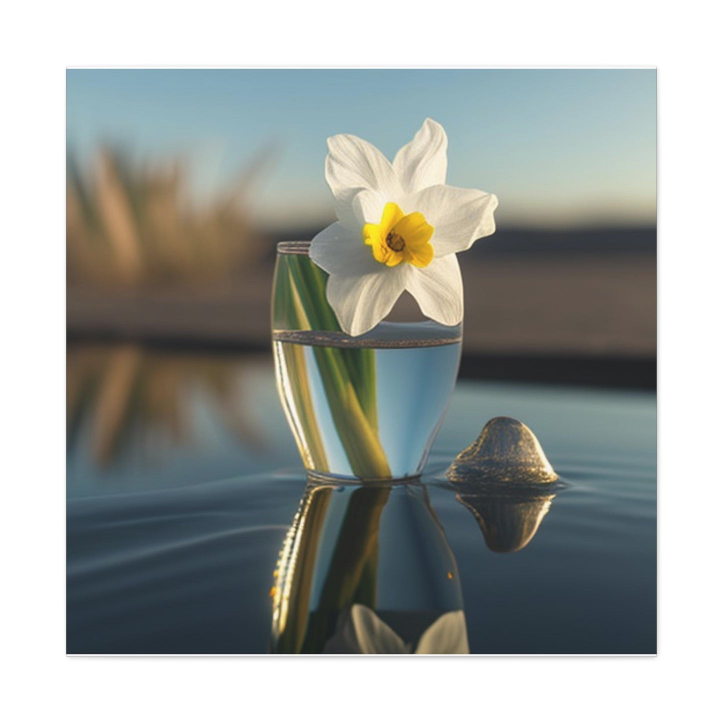 Canvas Gallery Wraps Daffodil 4