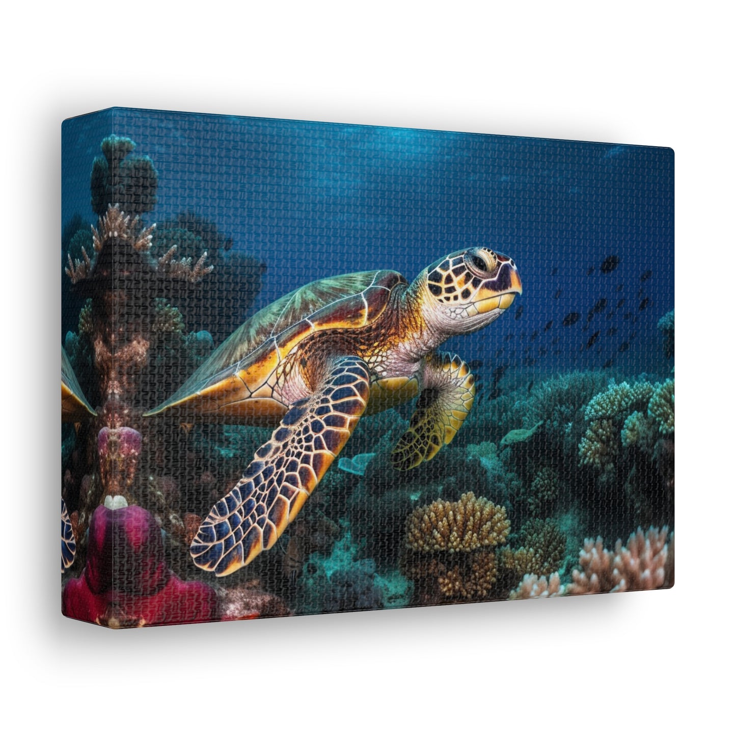 Sea Turtle Reef 1