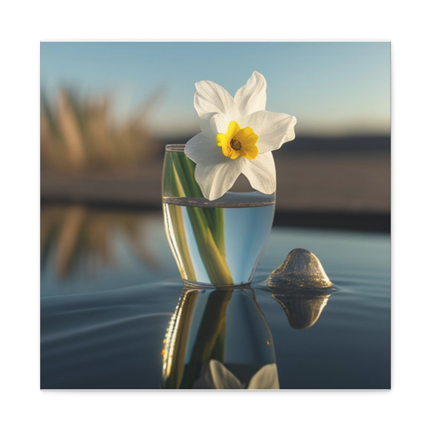 Canvas Gallery Wraps Daffodil 4