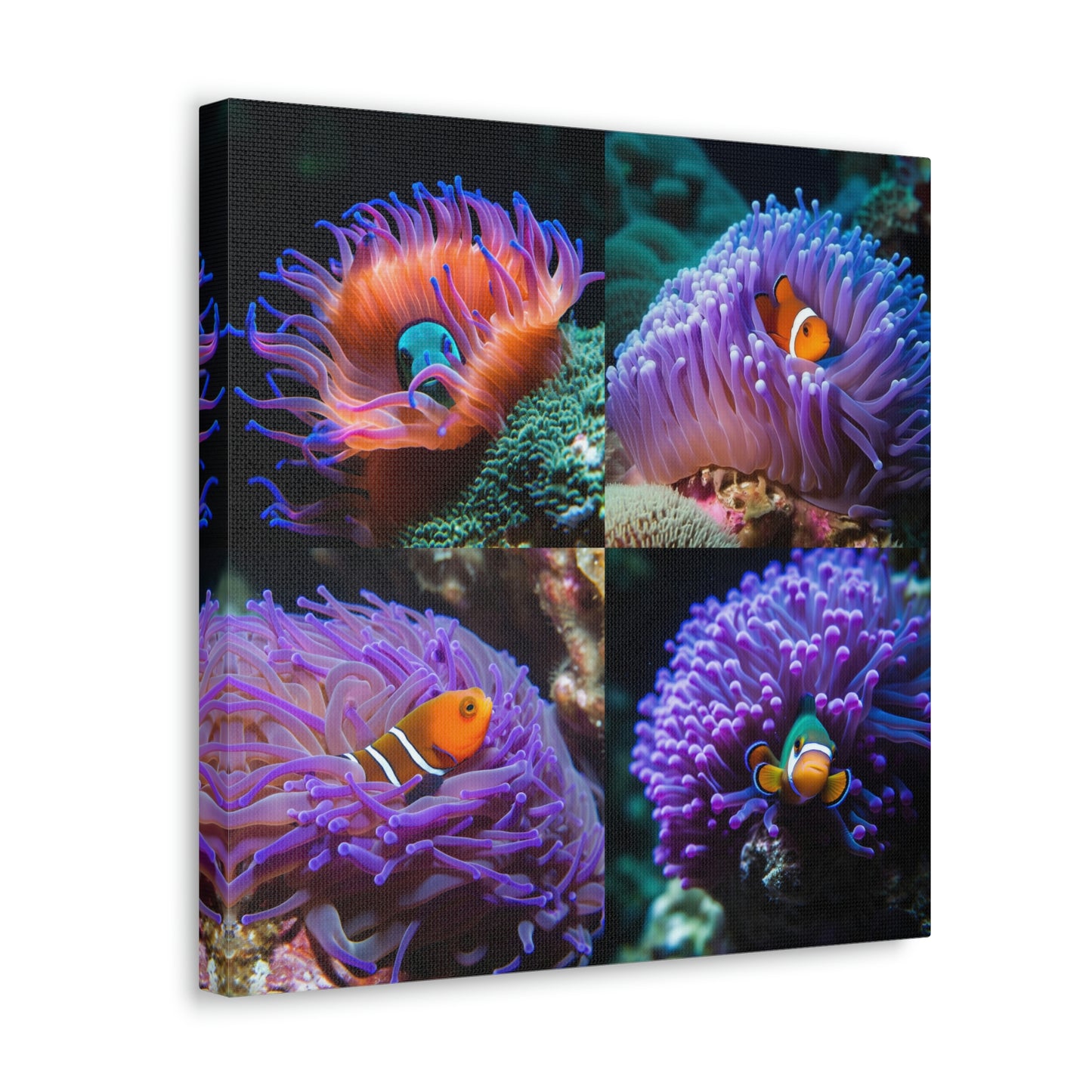 Canvas Gallery Wraps Anemone Clown 4 Pack