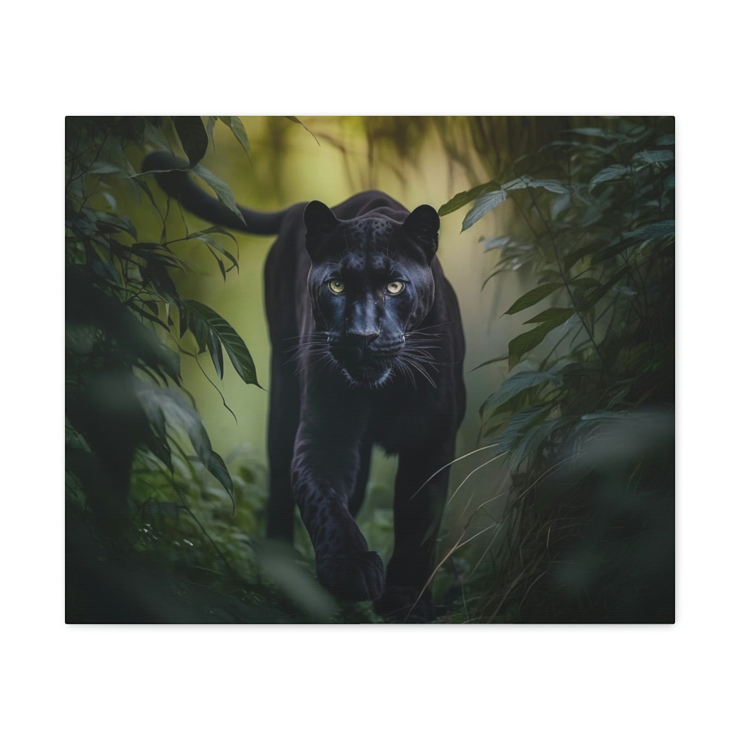 Black Panther walking