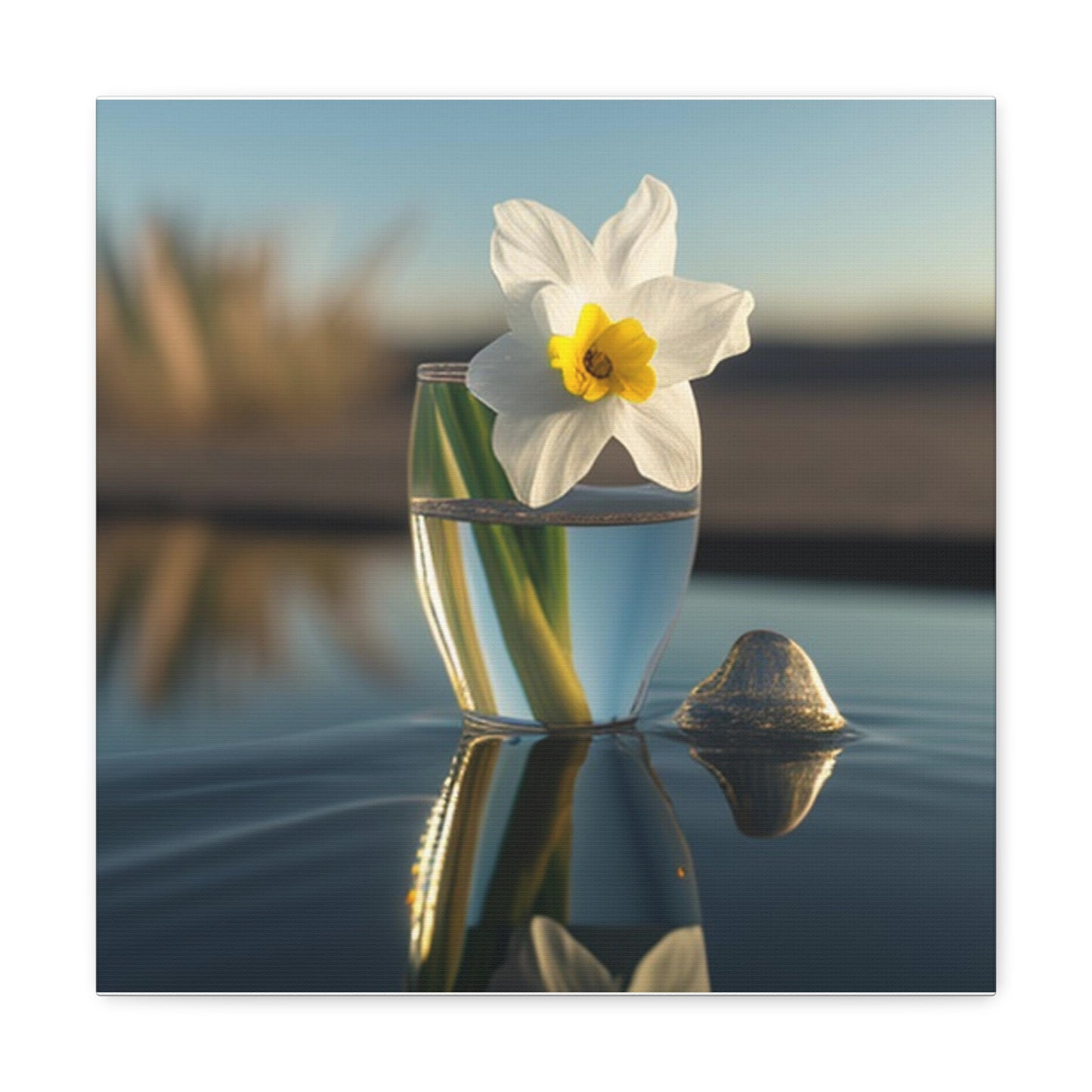 Canvas Gallery Wraps Daffodil 4