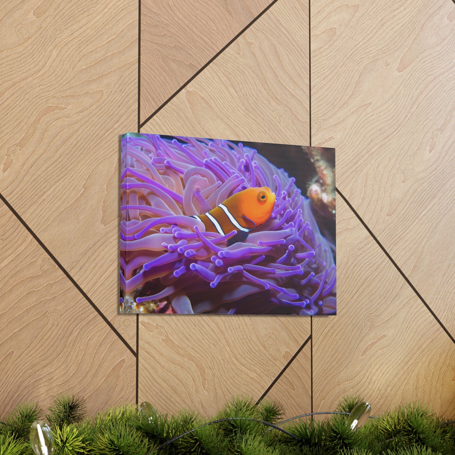 Canvas Gallery Wraps Anemone Clown 3