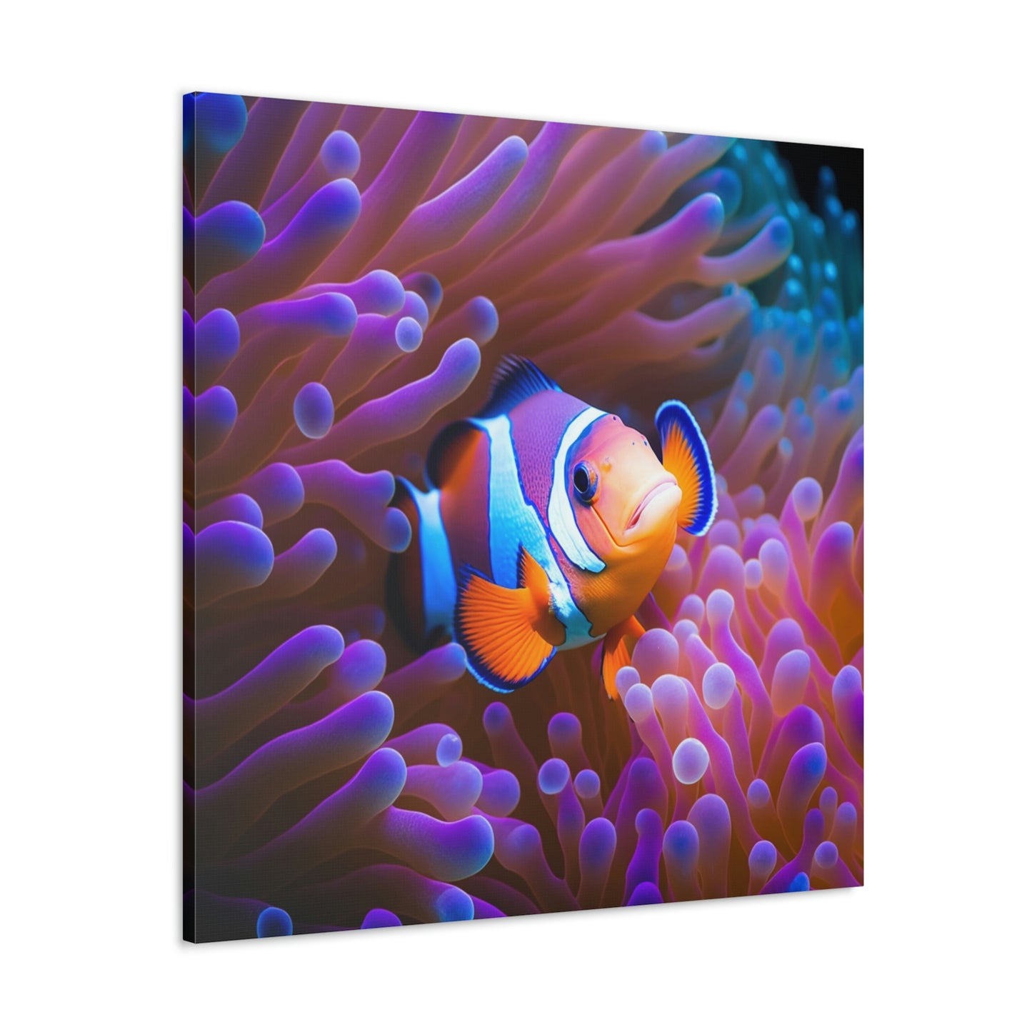 Canvas Gallery Wraps Clownfish Anemone 3